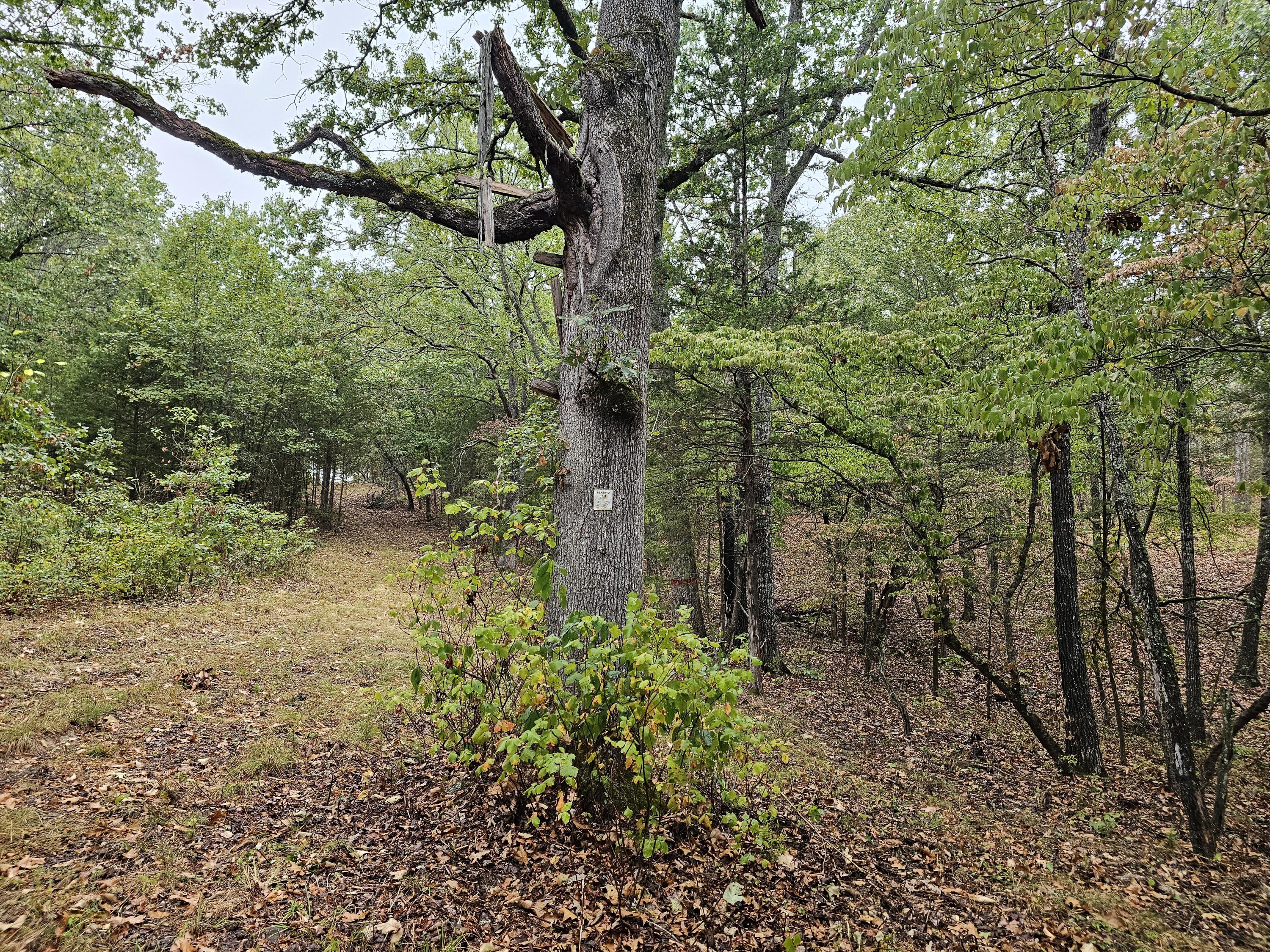 0 State Highway 76 Property Photo 1
