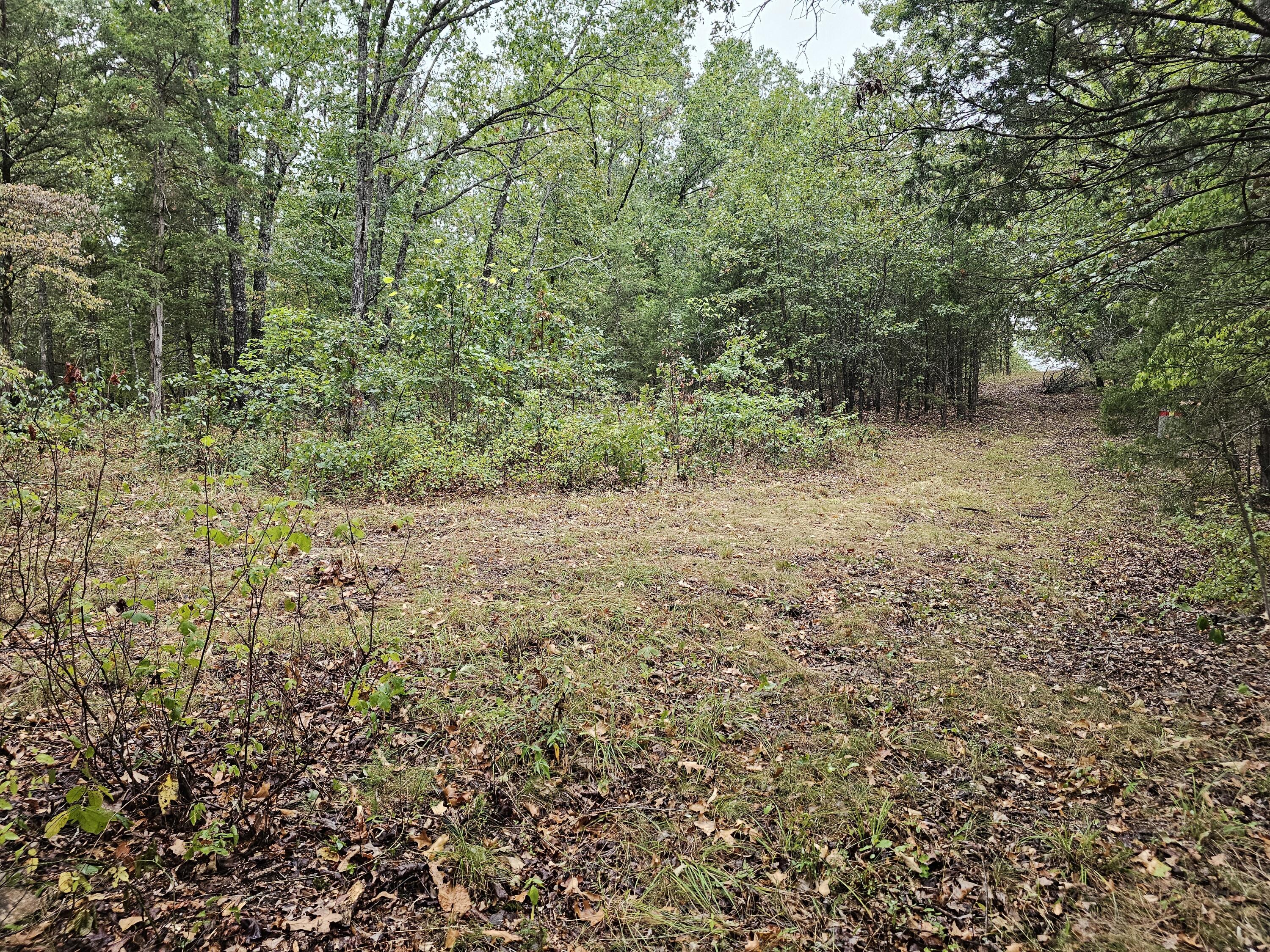 0 State Highway 76 Property Photo 2