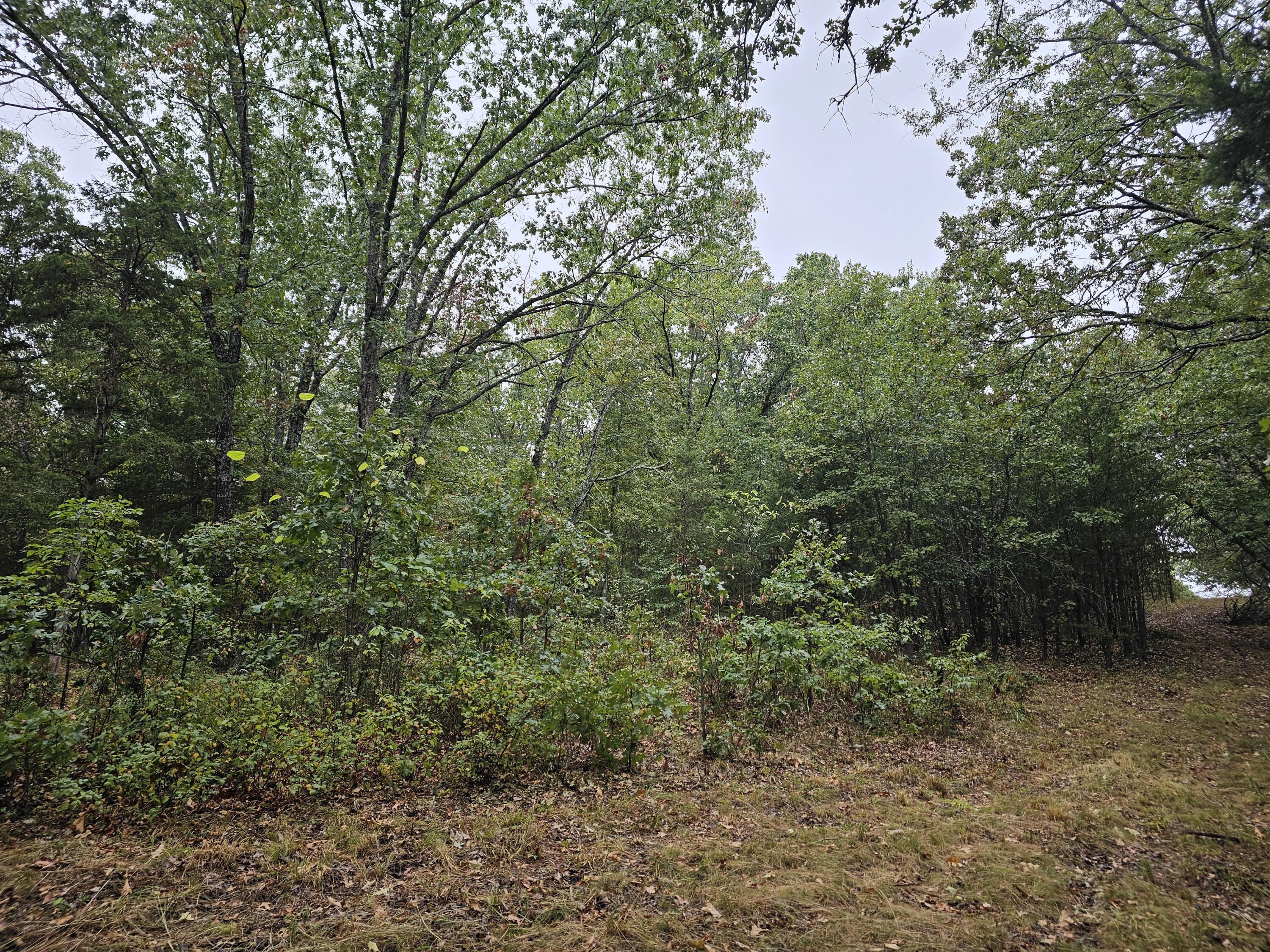 0 State Highway 76 Property Photo 3