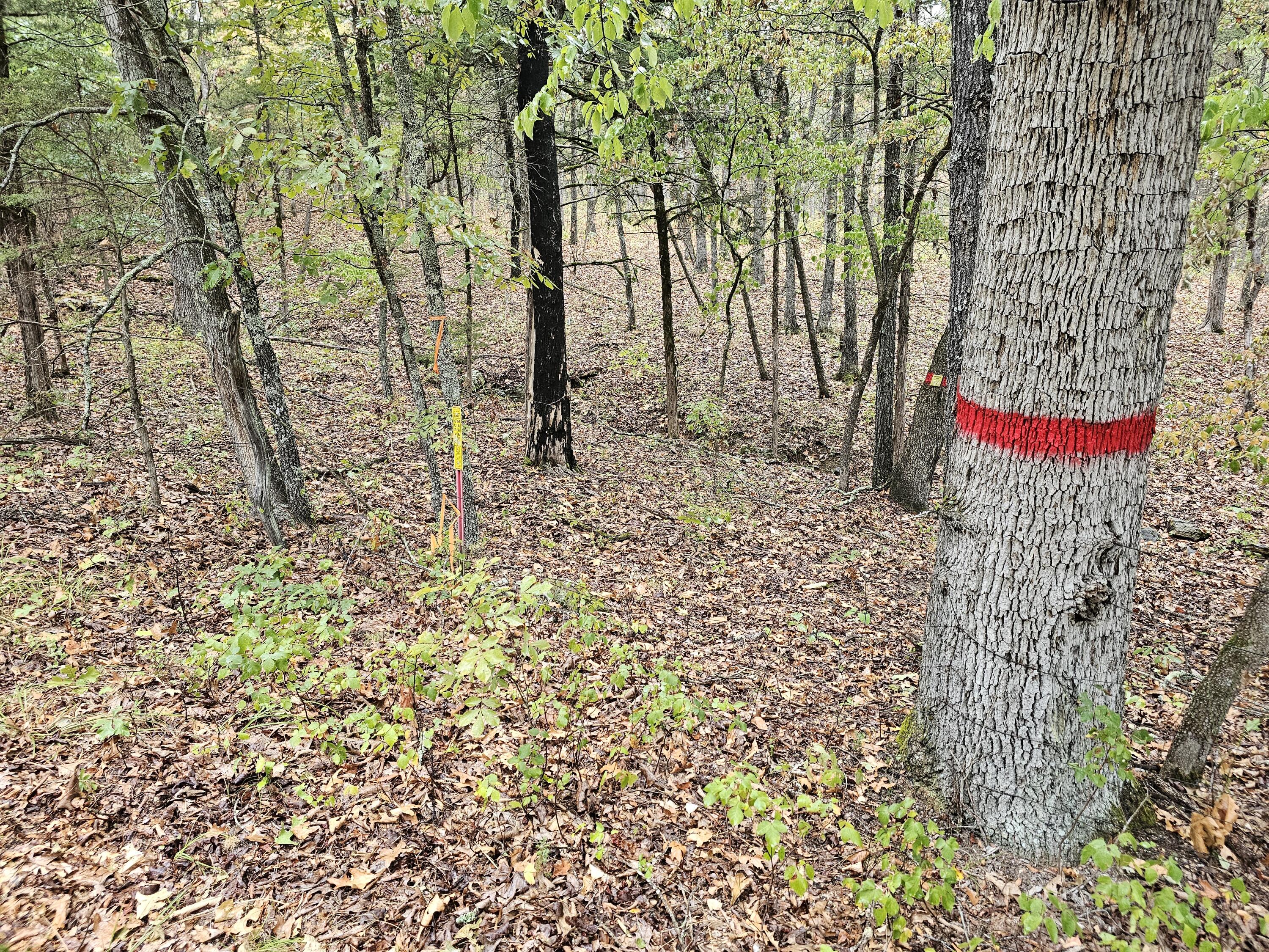 0 State Highway 76 Property Photo 4