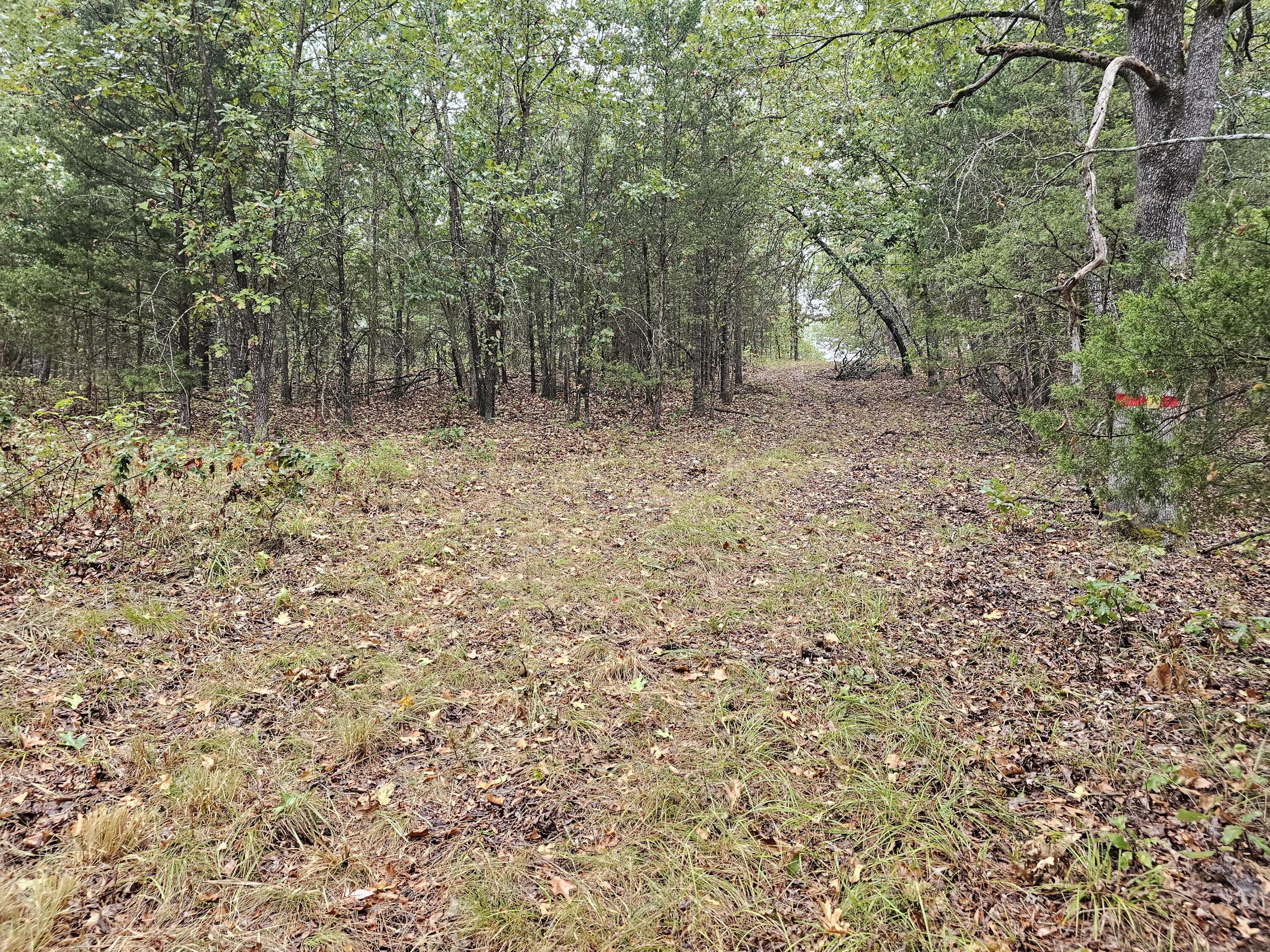 0 State Highway 76 Property Photo 7