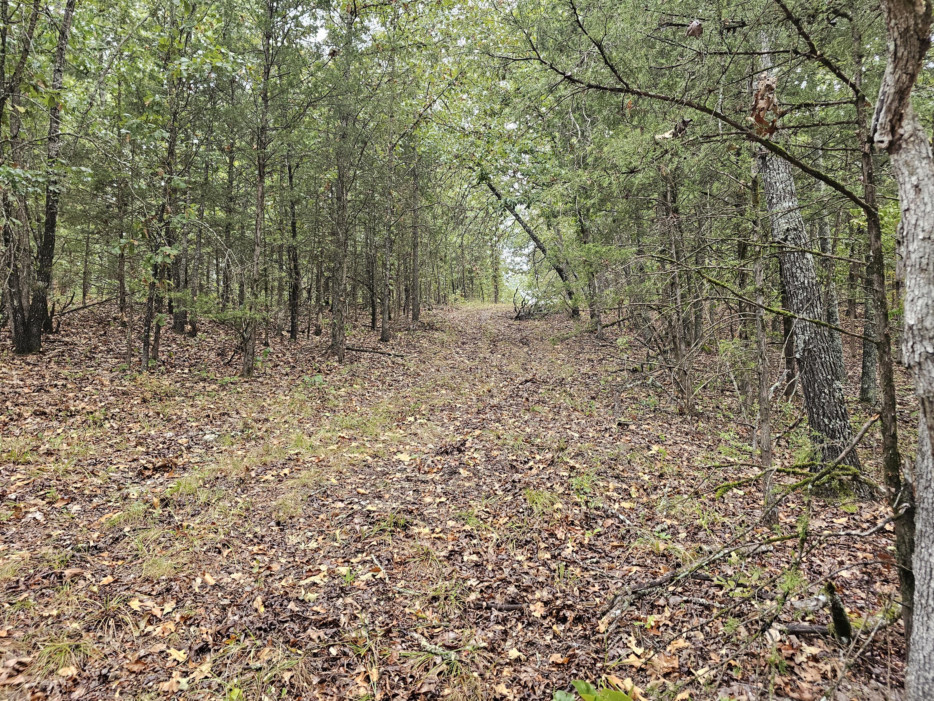 0 State Highway 76 Property Photo 9