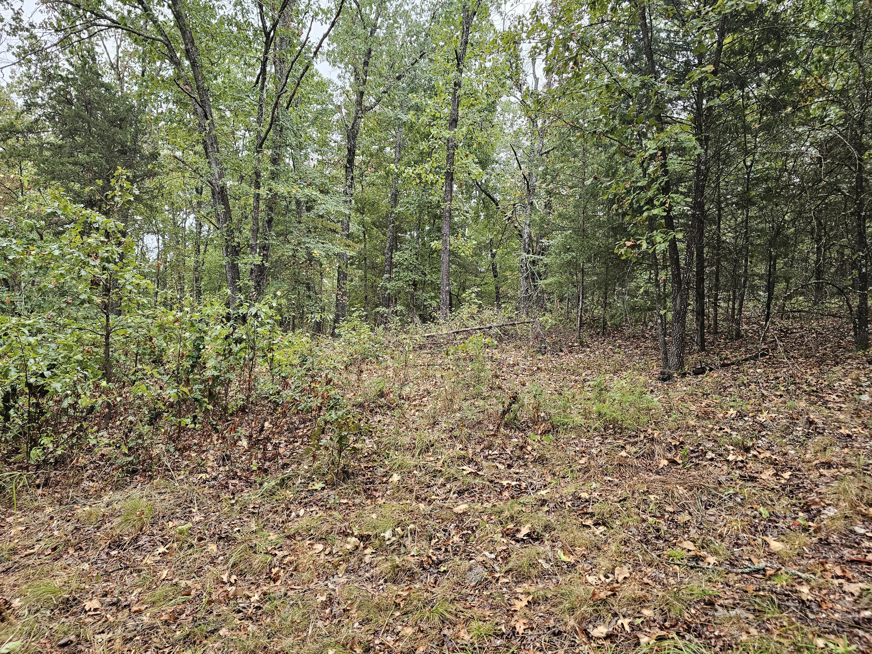 0 State Highway 76 Property Photo 10