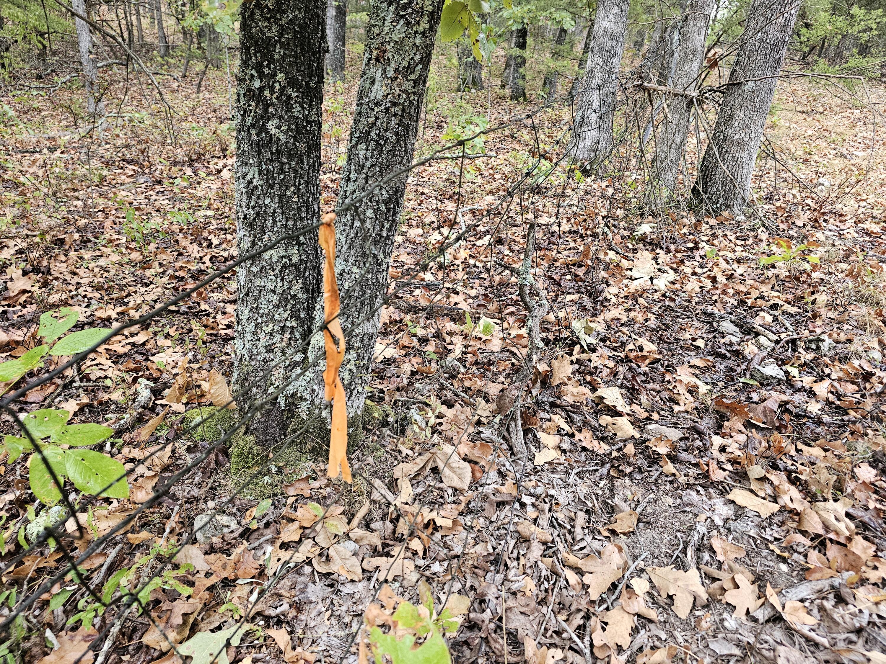 0 State Highway 76 Property Photo 11