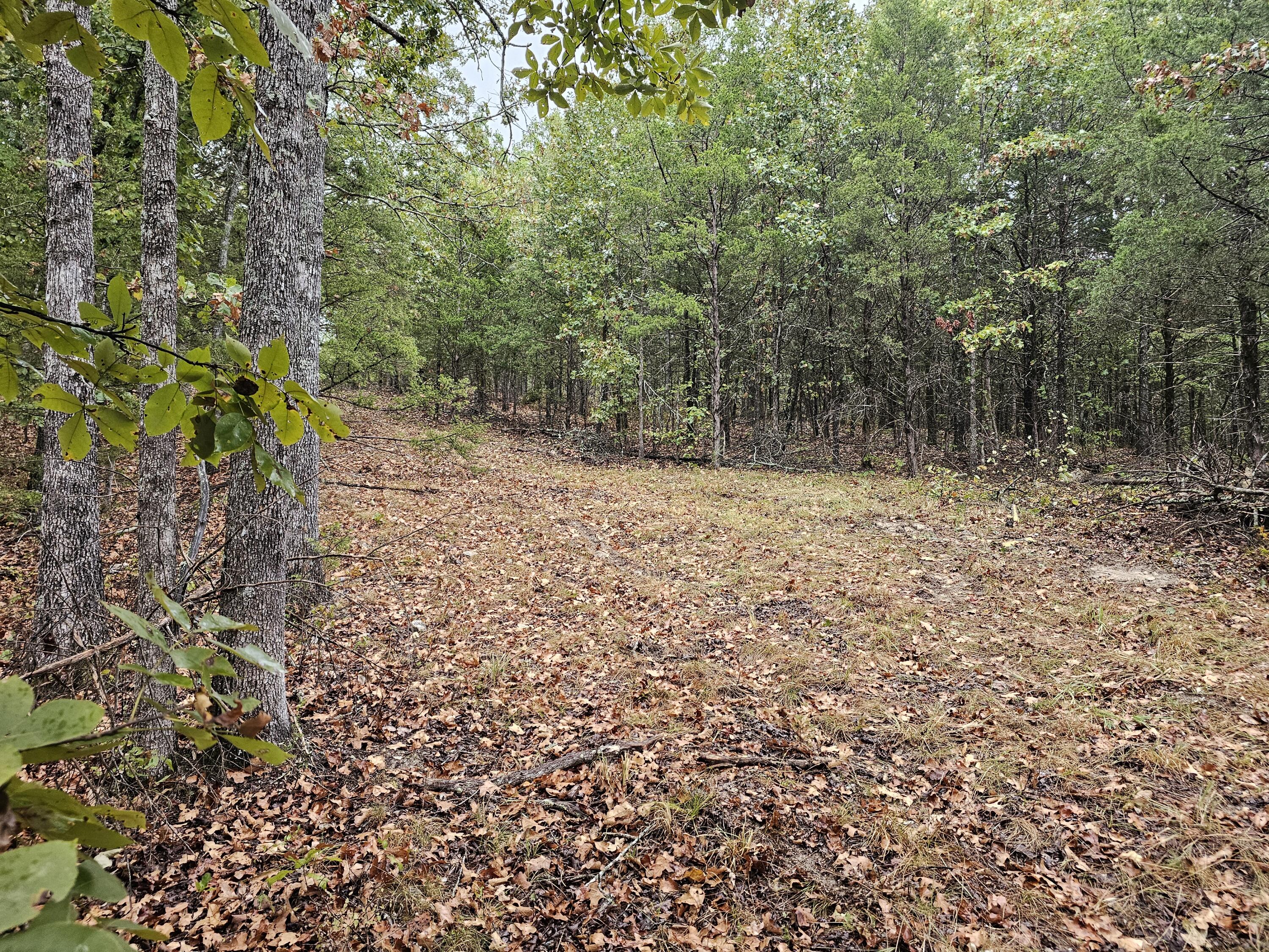 0 State Highway 76 Property Photo 12