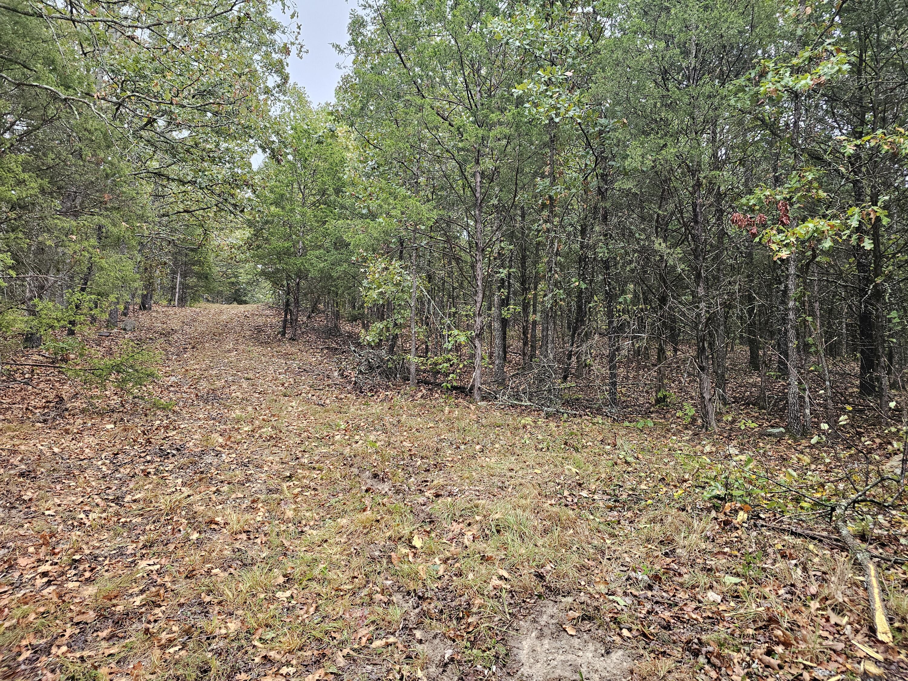 0 State Highway 76 Property Photo 13