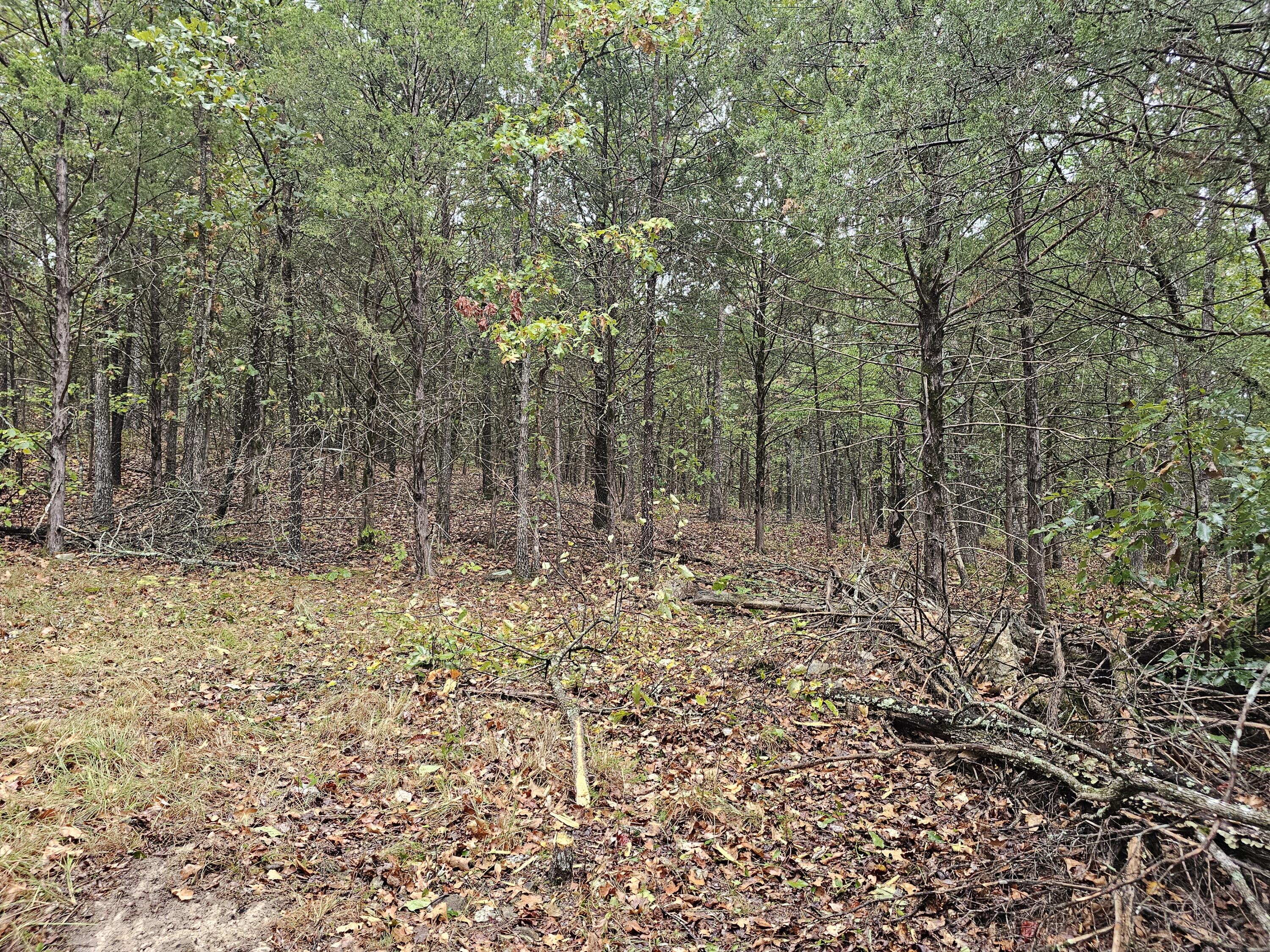 0 State Highway 76 Property Photo 14