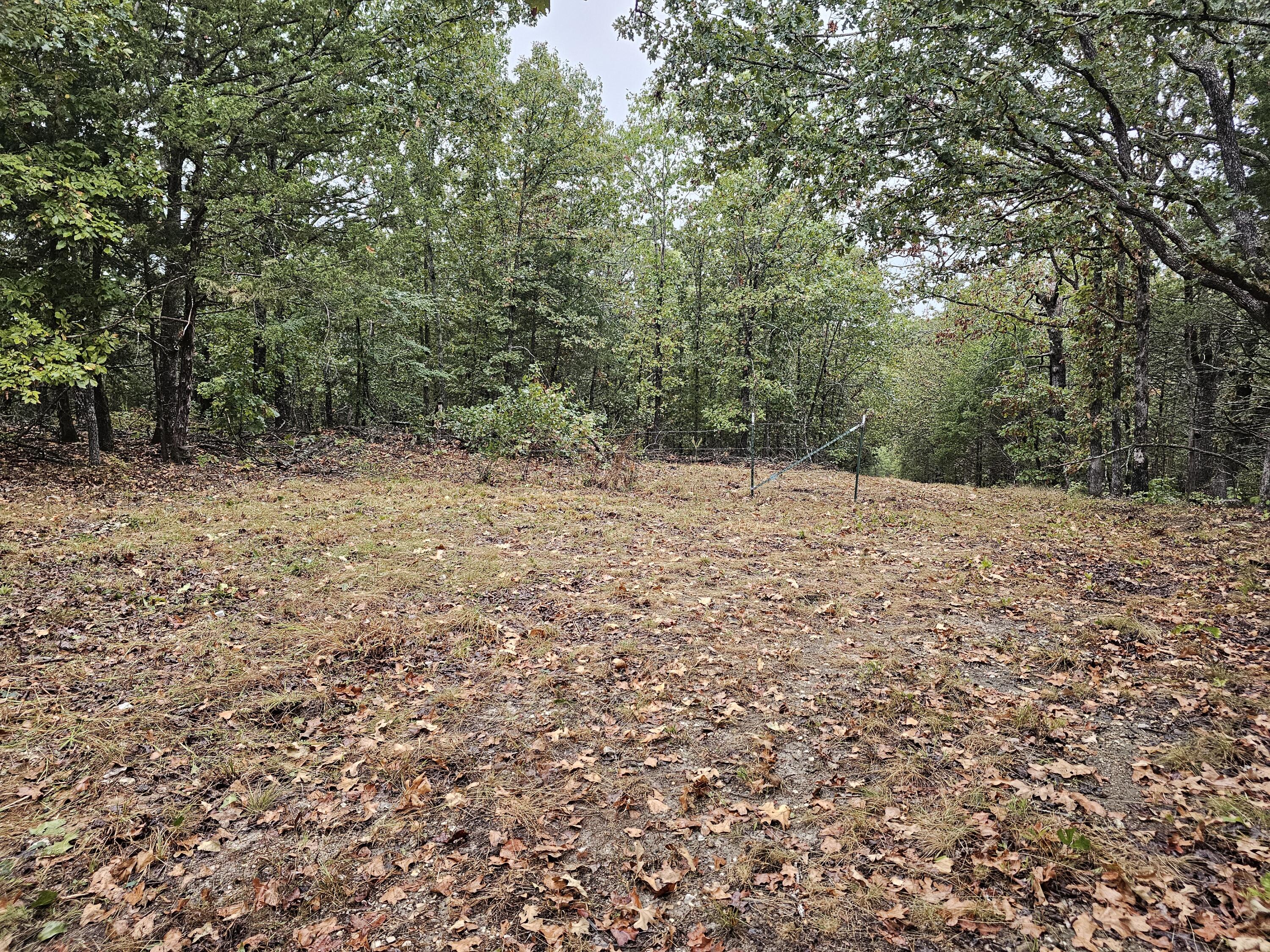 0 State Highway 76 Property Photo 15