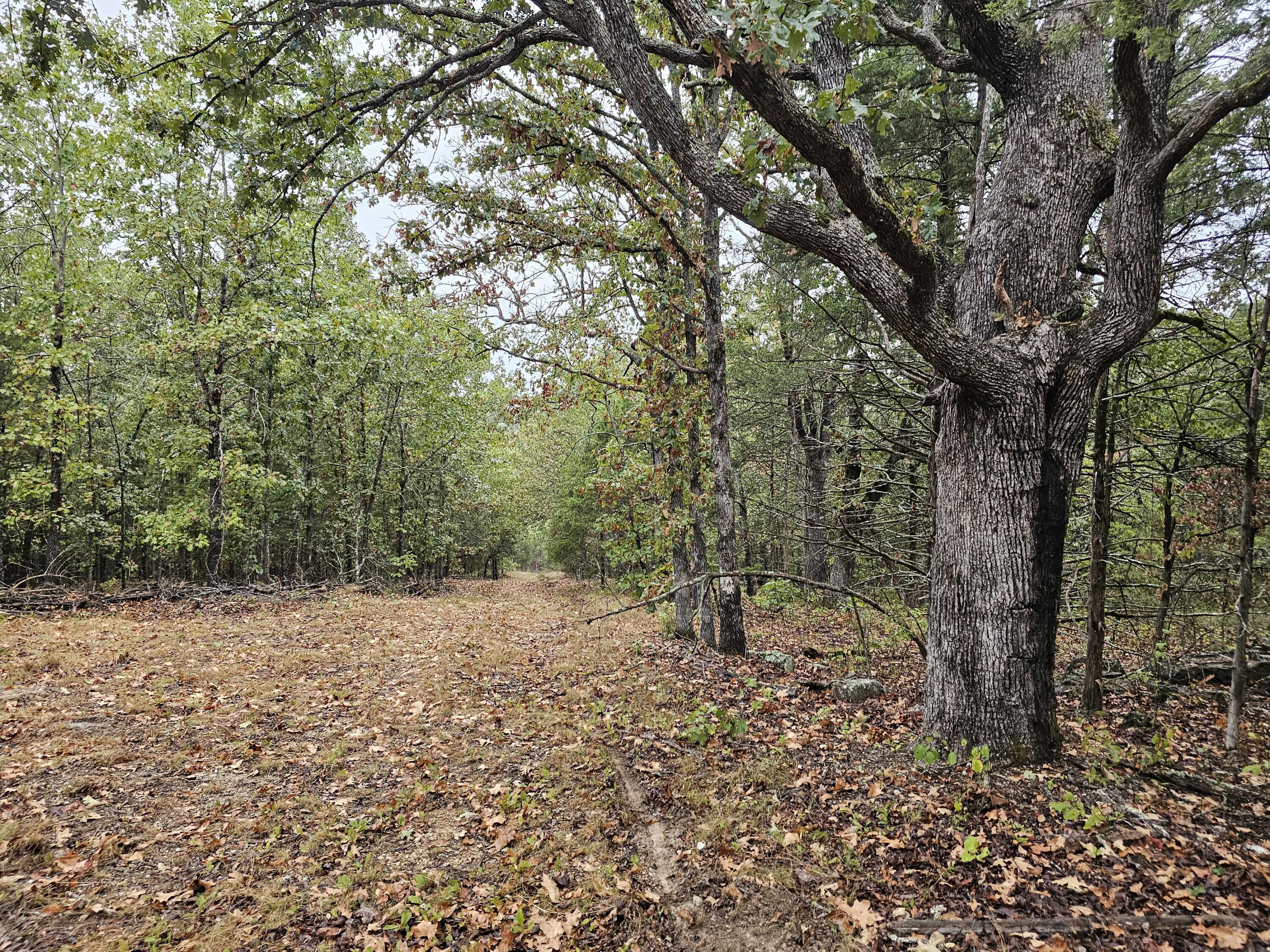 0 State Highway 76 Property Photo 16