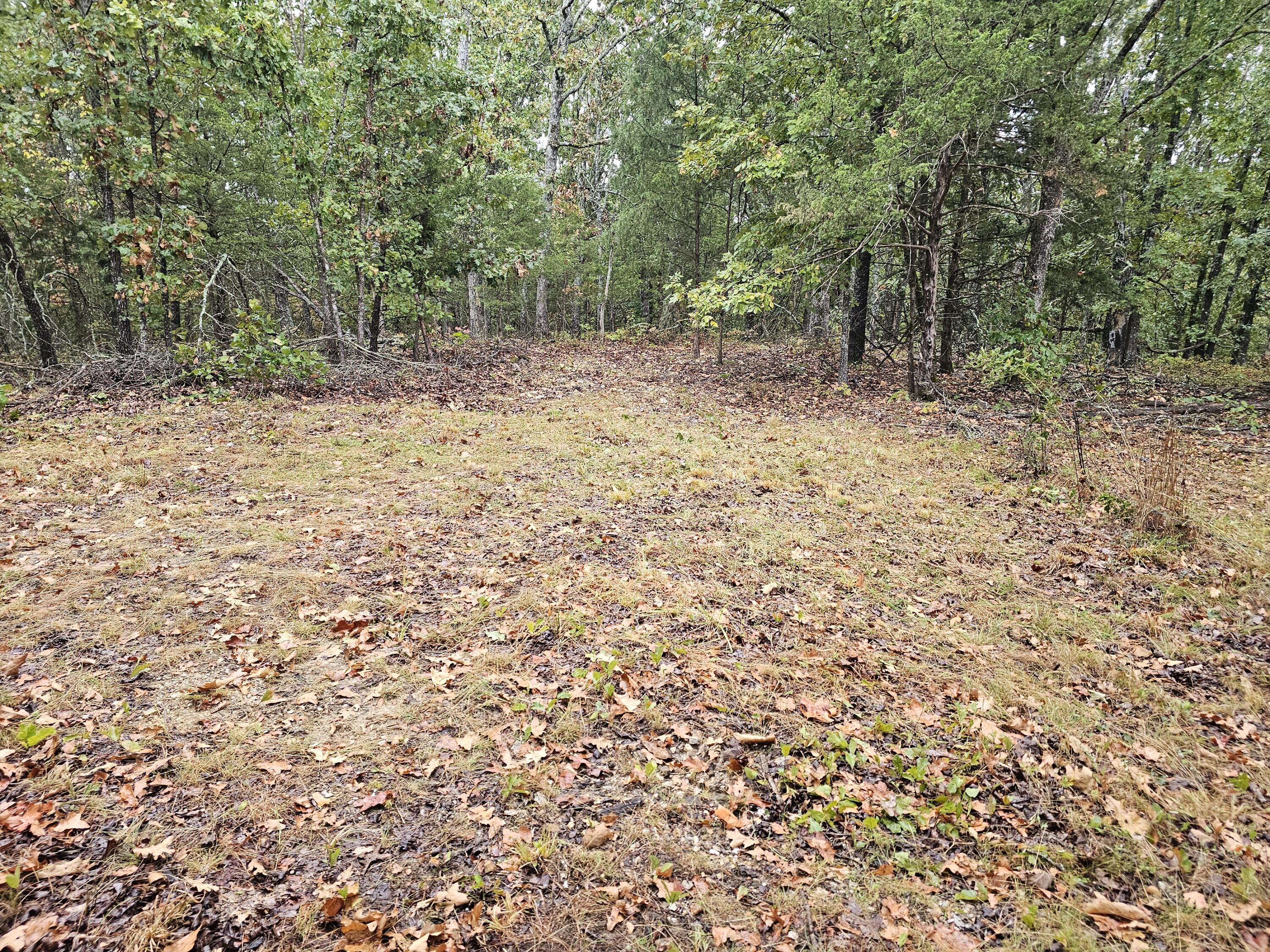 0 State Highway 76 Property Photo 17
