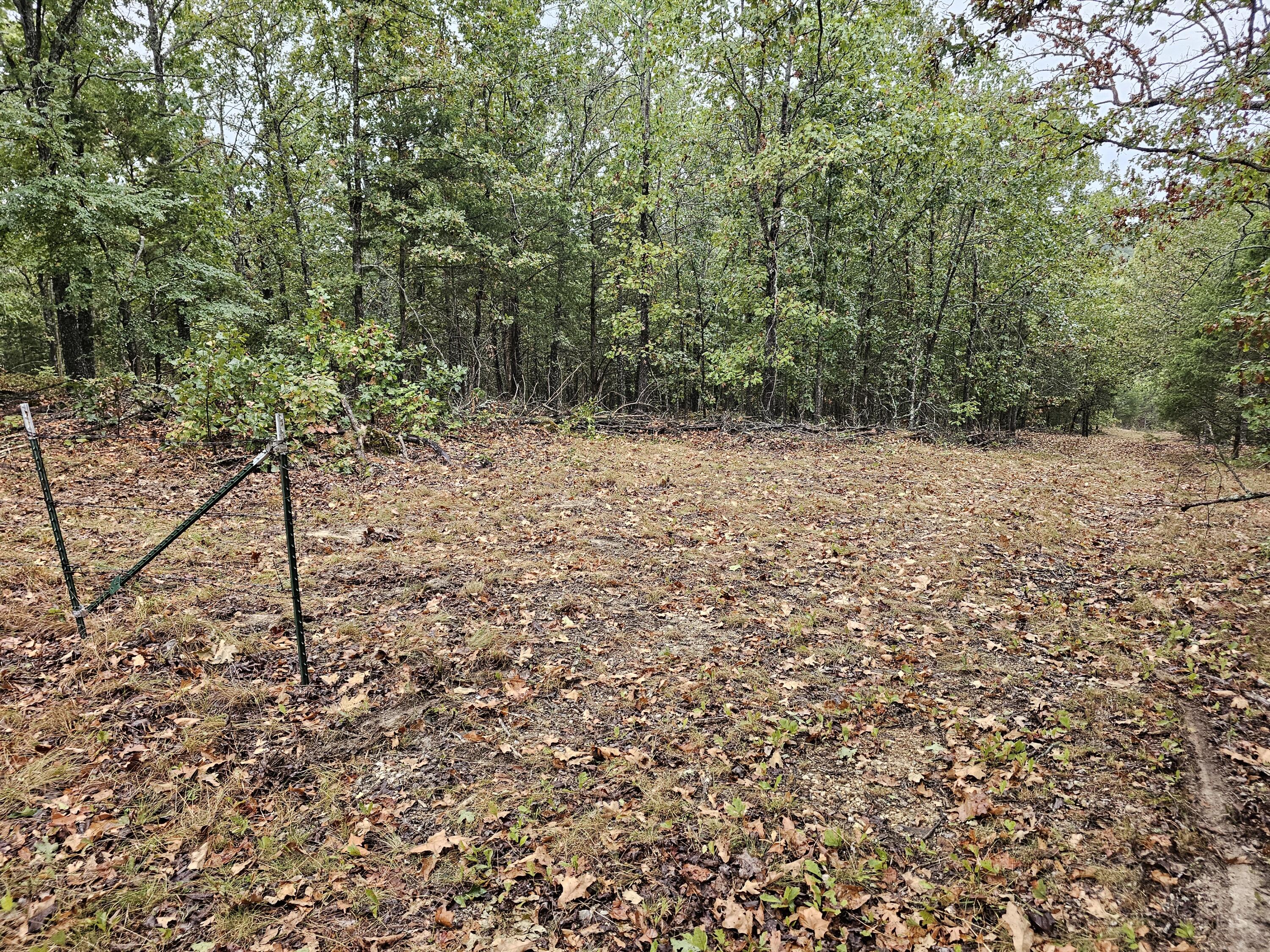 0 State Highway 76 Property Photo 18