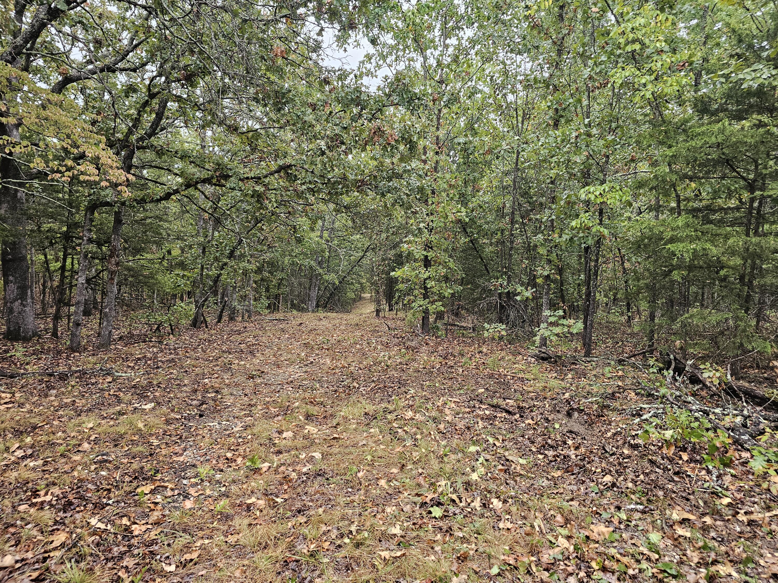 0 State Highway 76 Property Photo 19