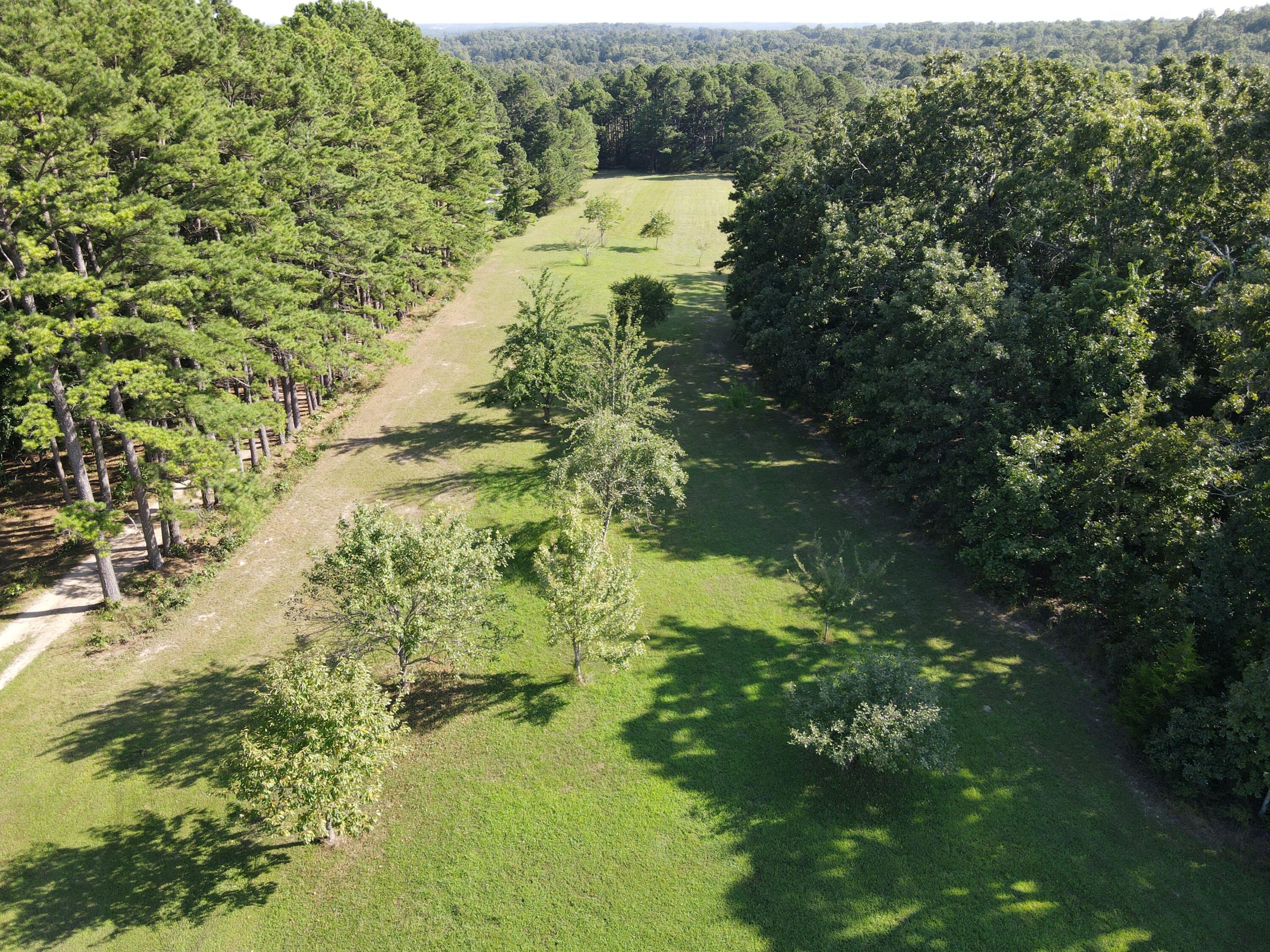 3784 County Road 3600 Property Photo 91