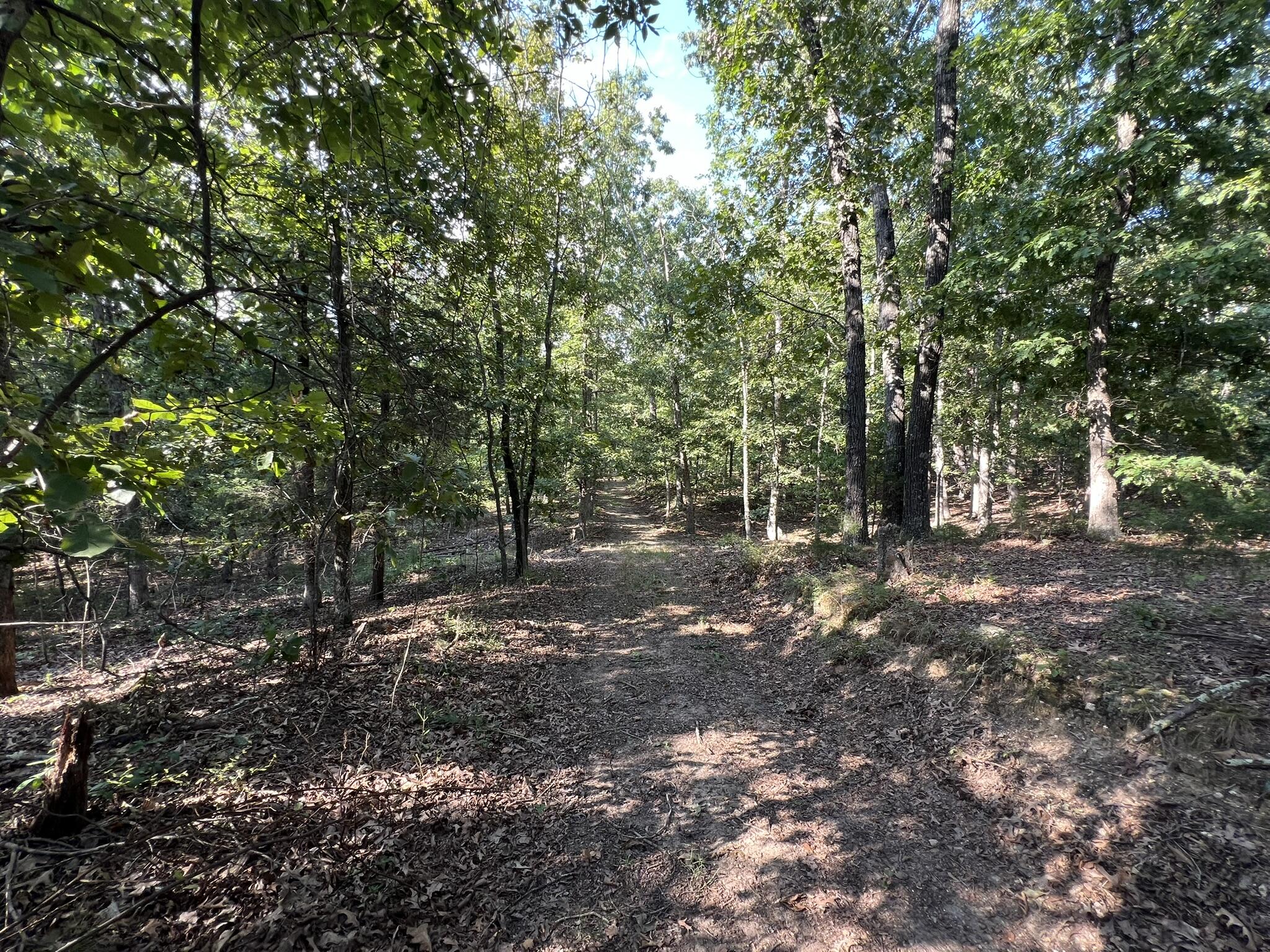 3784 County Road 3600 Property Photo 98