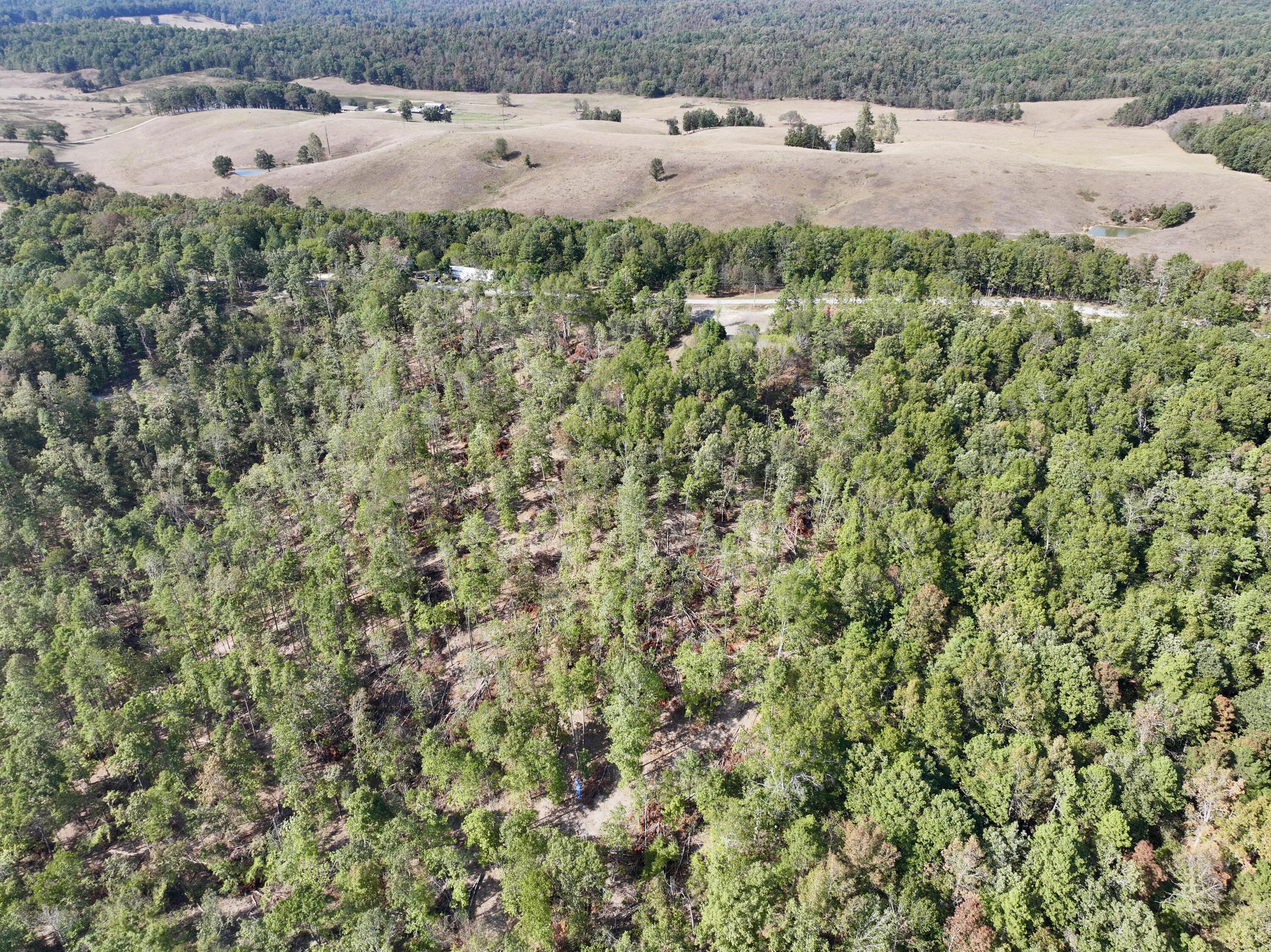 000 County Road 306 Property Photo 3