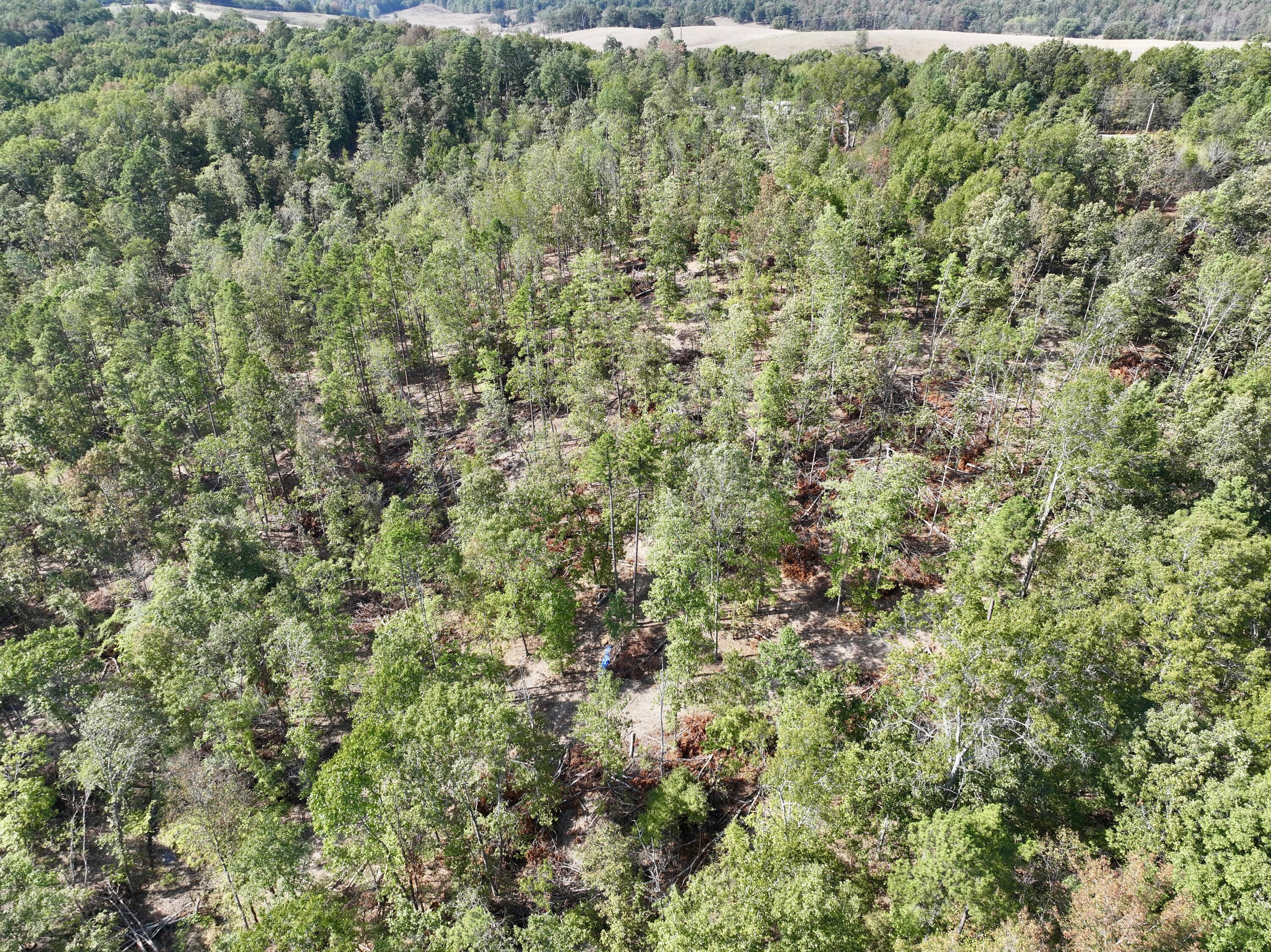000 County Road 306 Property Photo 4