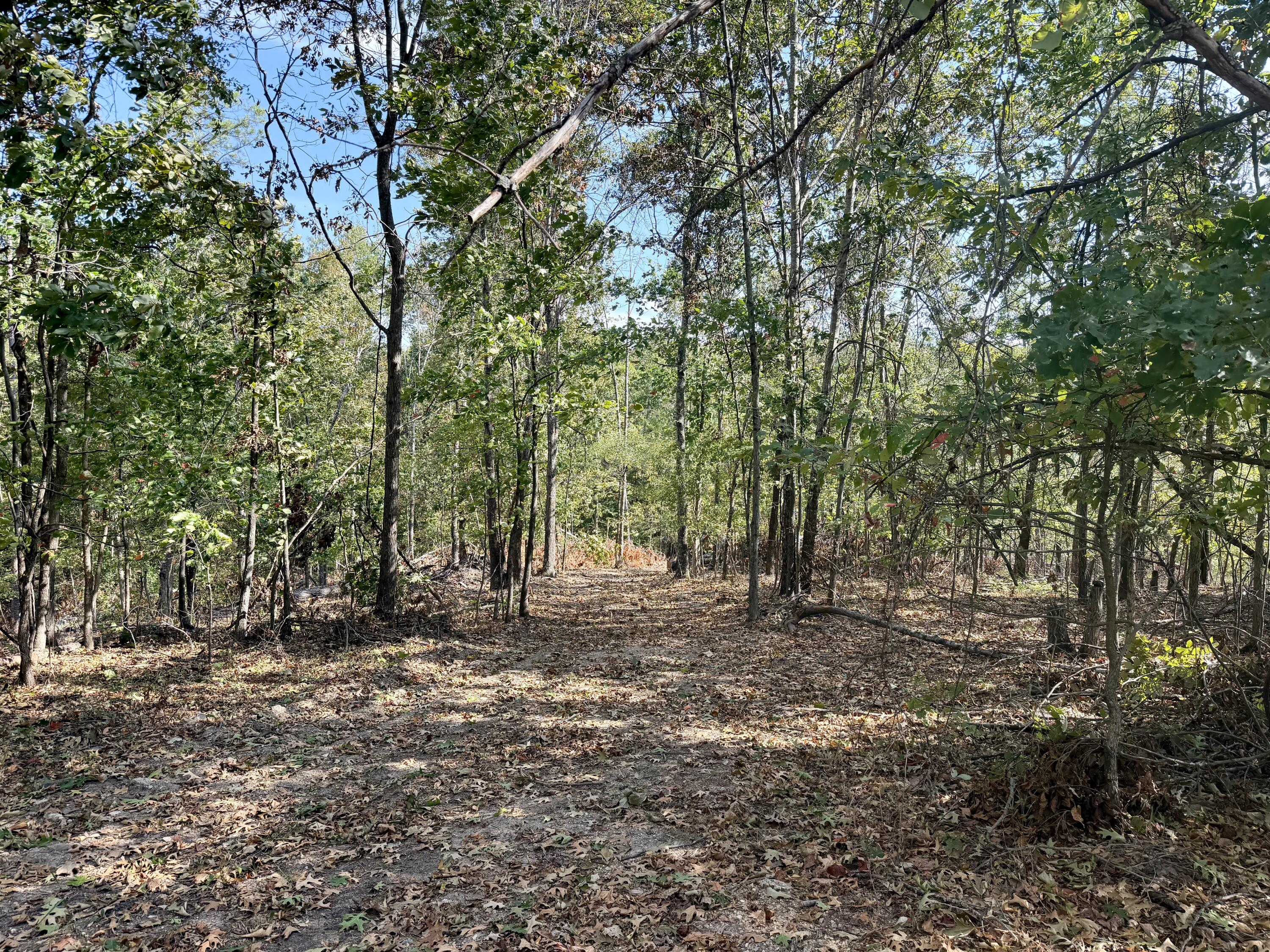 000 County Road 306 Property Photo 6