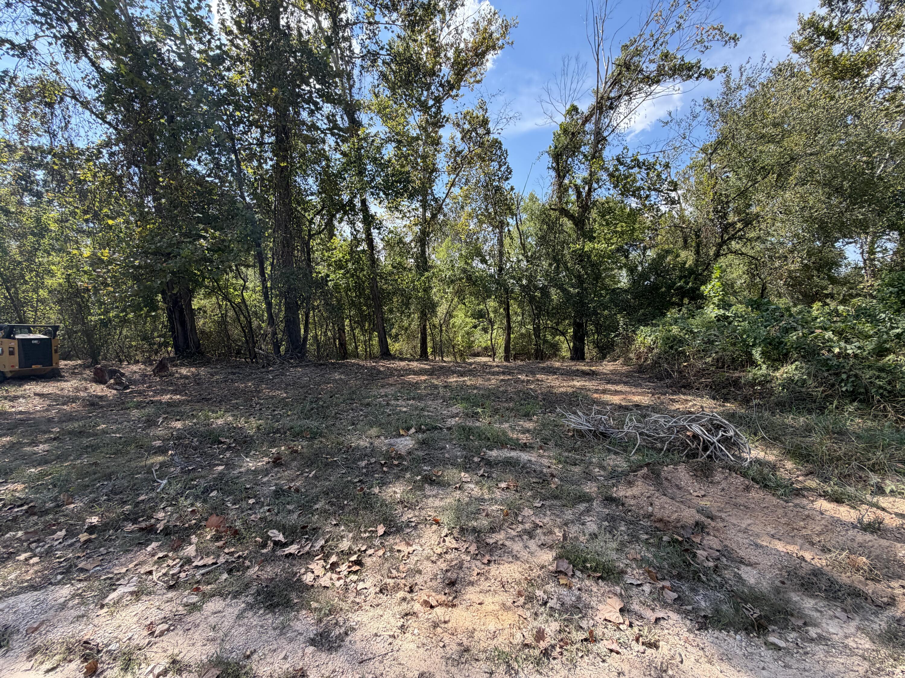 000 Lueckel Drive Property Photo 1