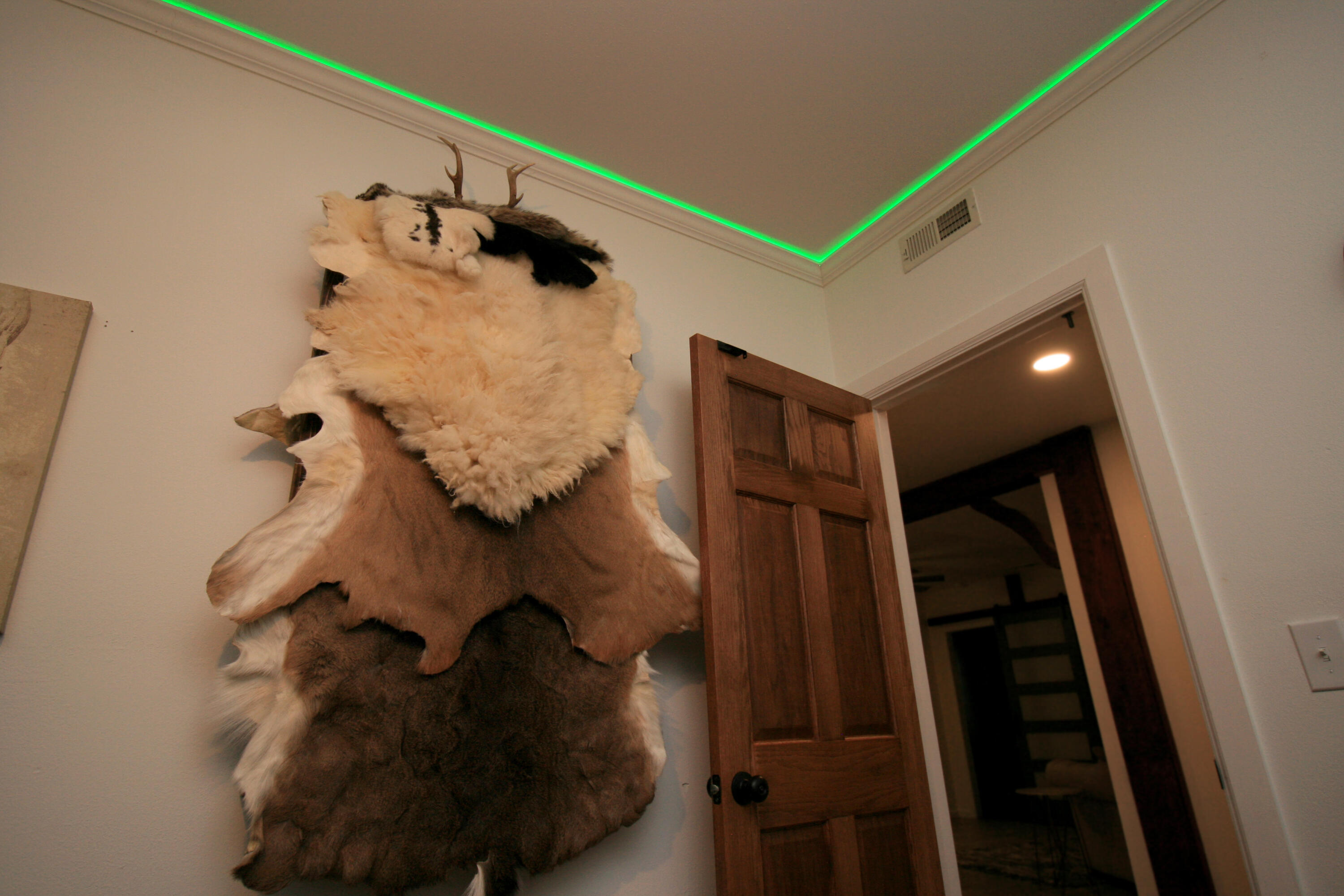 1446 South Oak Hill Court Property Photo 51