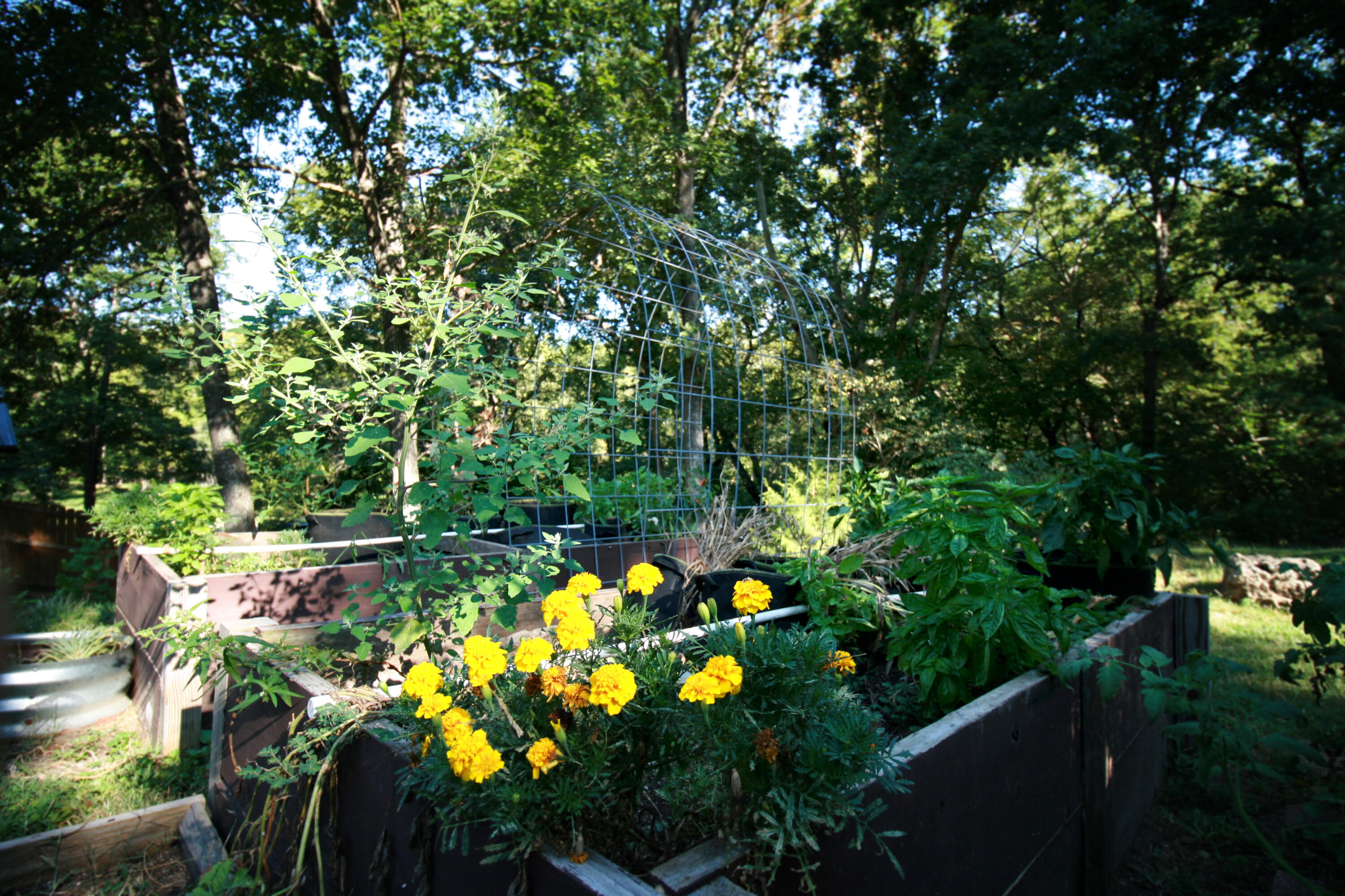 1446 South Oak Hill Court Property Photo 79