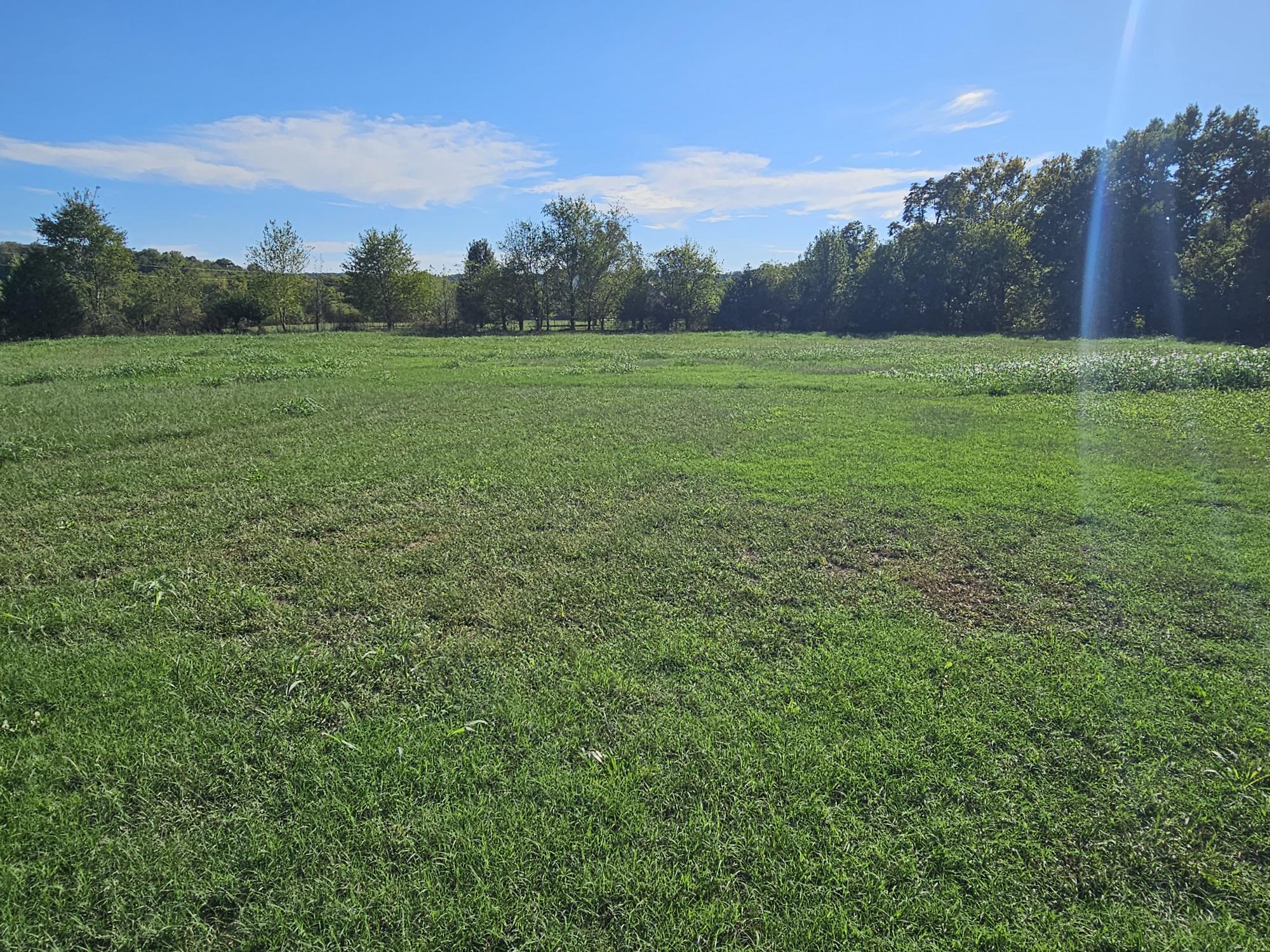 205 Franklin Road Property Photo 38