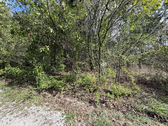 0 Walnut Circle Property Photo 1