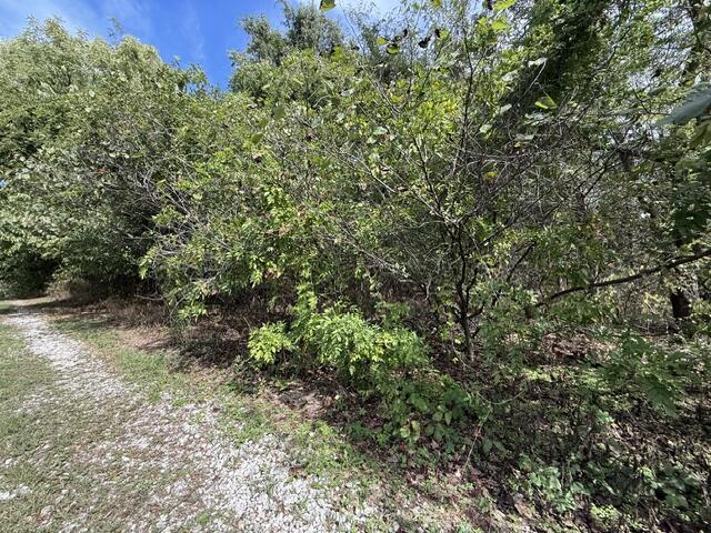 0 Walnut Circle Property Photo 2
