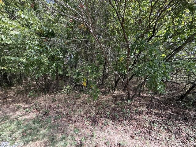 0 Walnut Circle Property Photo 3