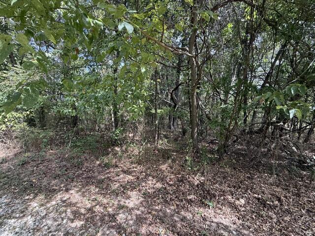 0 Walnut Circle Property Photo 4