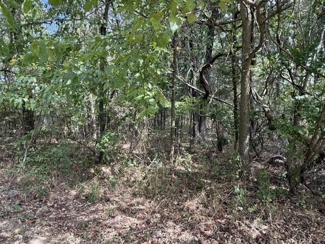 0 Walnut Circle Property Photo 5