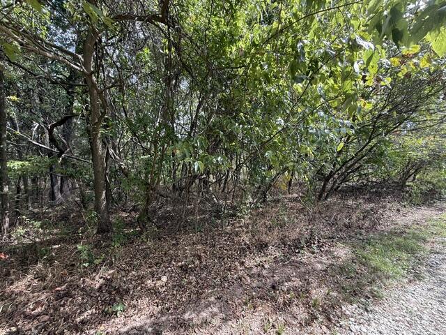 0 Walnut Circle Property Photo 6