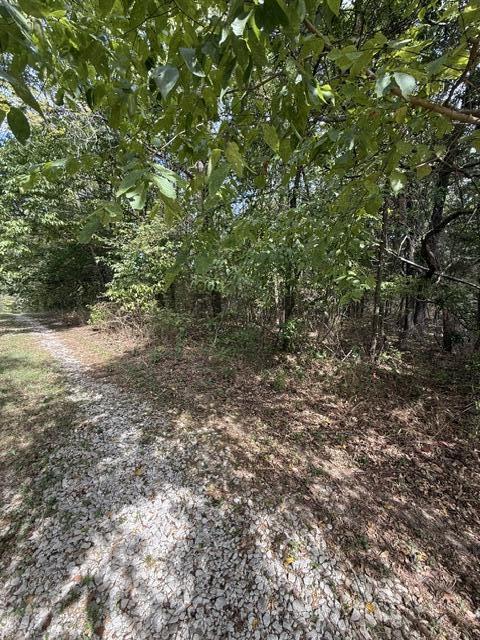 0 Walnut Circle Property Photo 7