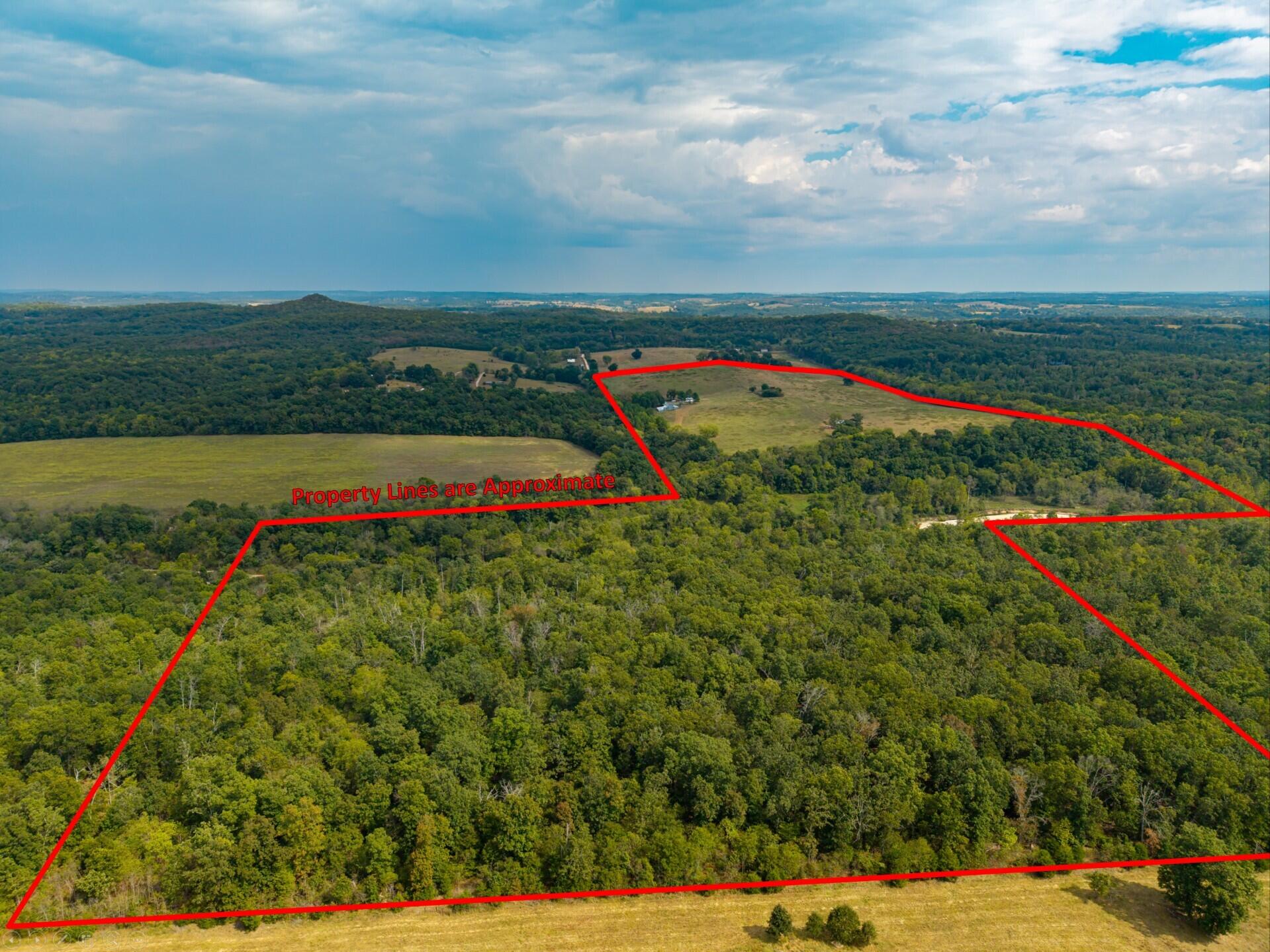 13462 Co Road # Y-521 Property Photo 57
