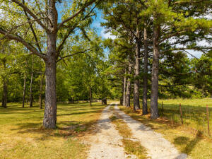 13462 County Road Y-521 Property Photo 20