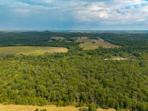 13462 County Road Y-521 Property Photo 57