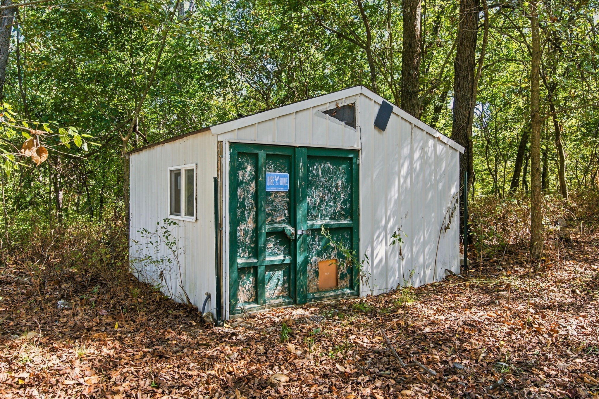 1166 Mills Road Property Photo 26