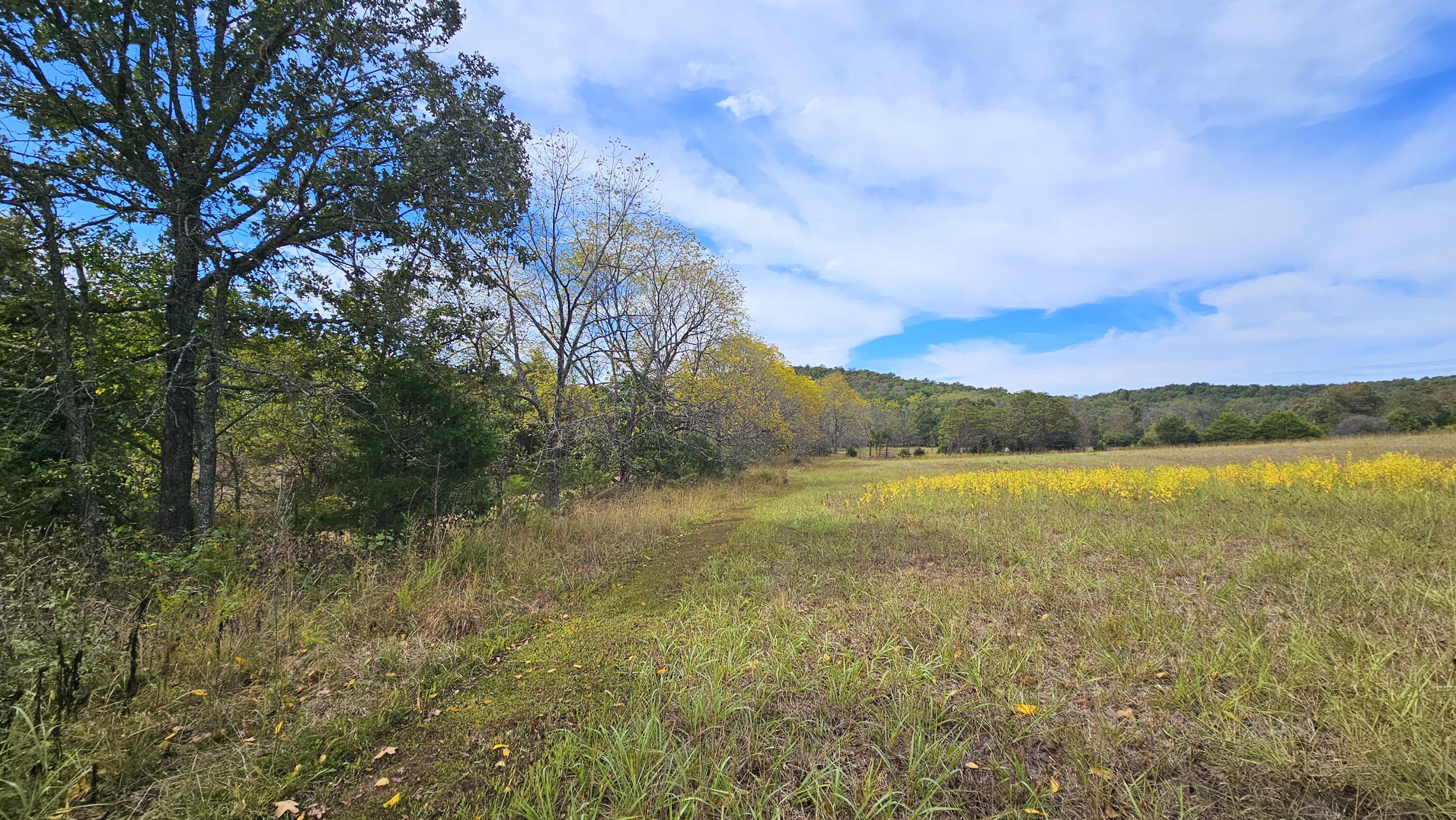 30349 County Road V-234 Property Photo 7