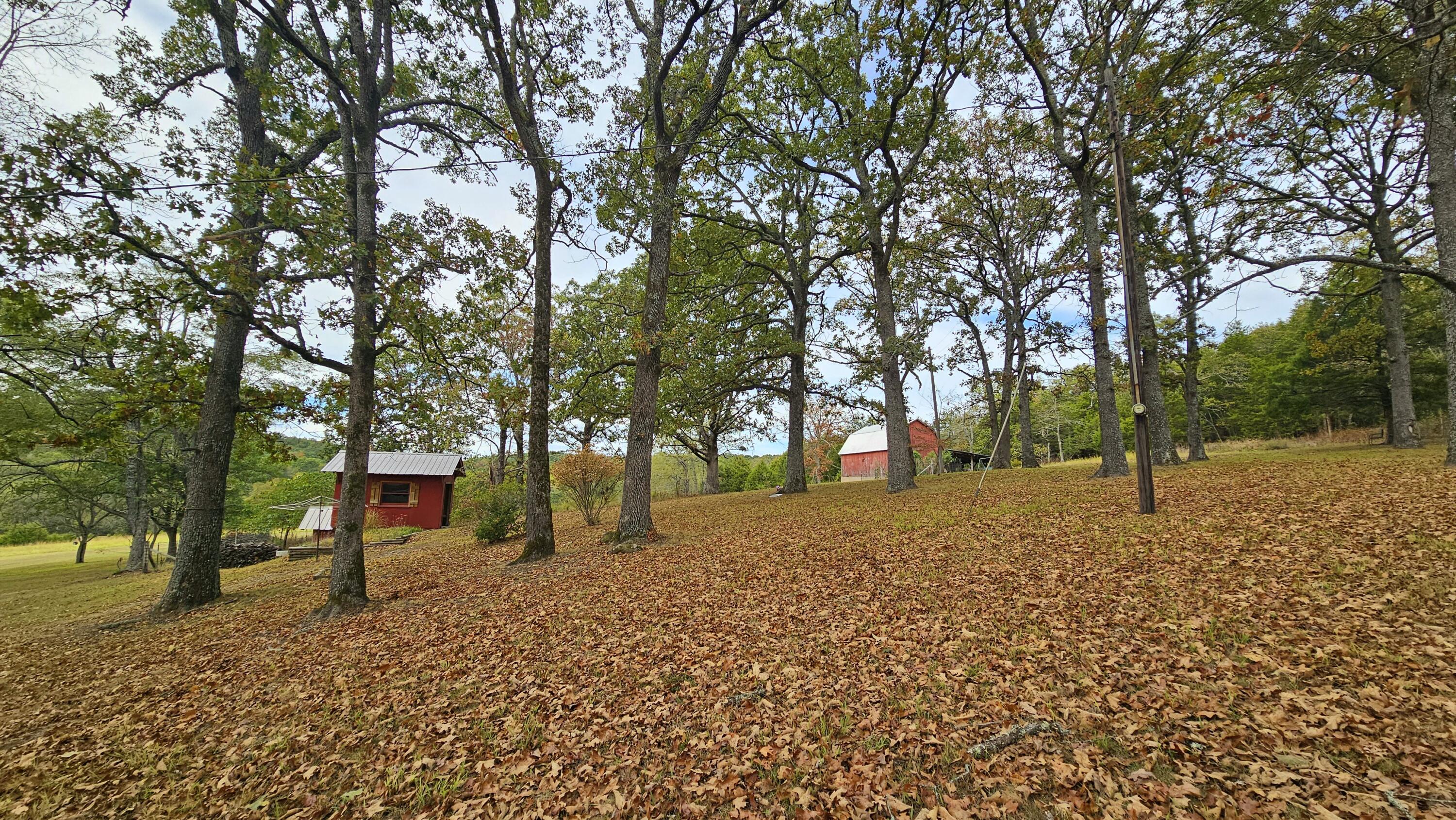 30349 County Road V-234 Property Photo 43