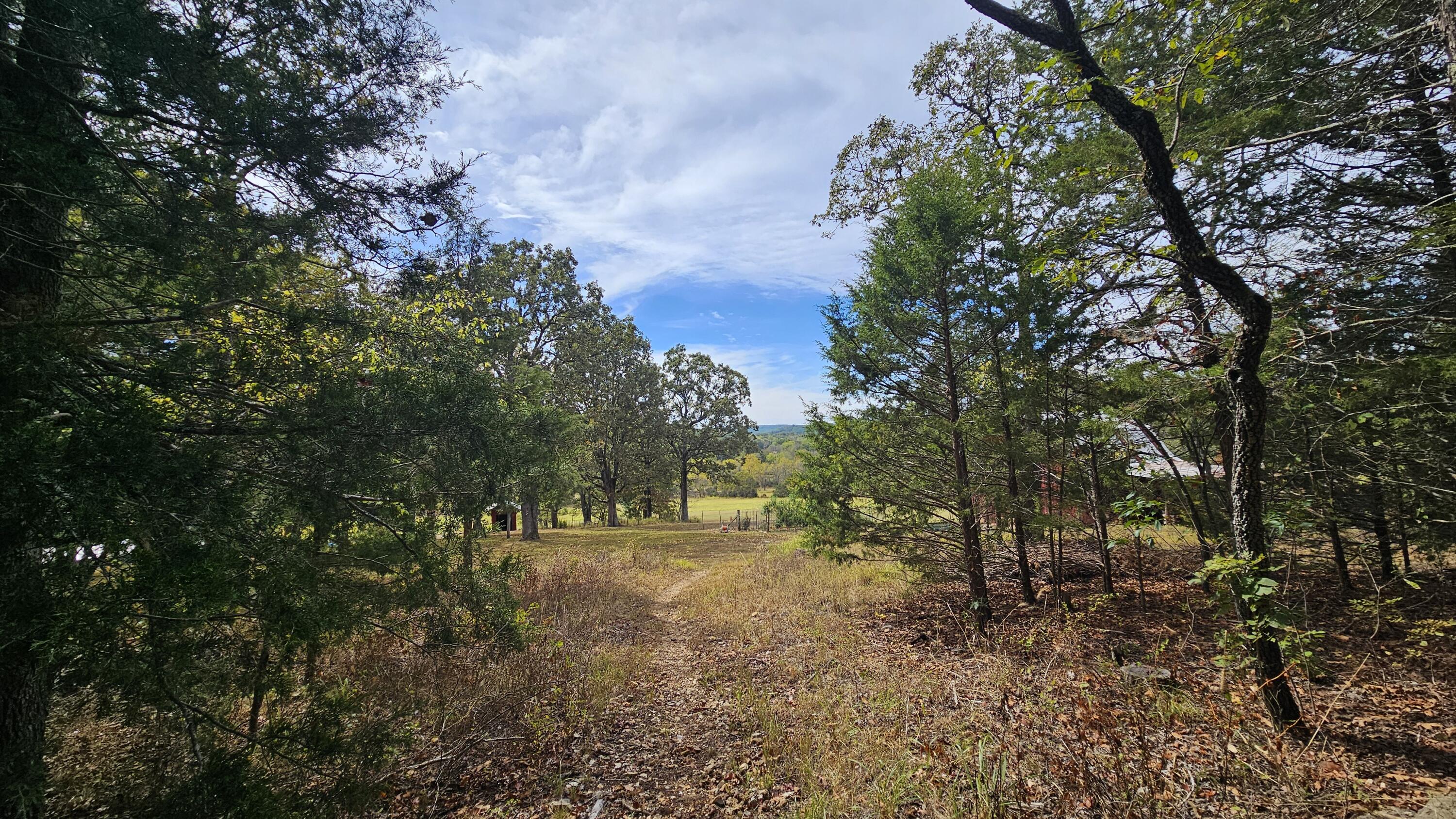 30349 County Road V-234 Property Photo 49