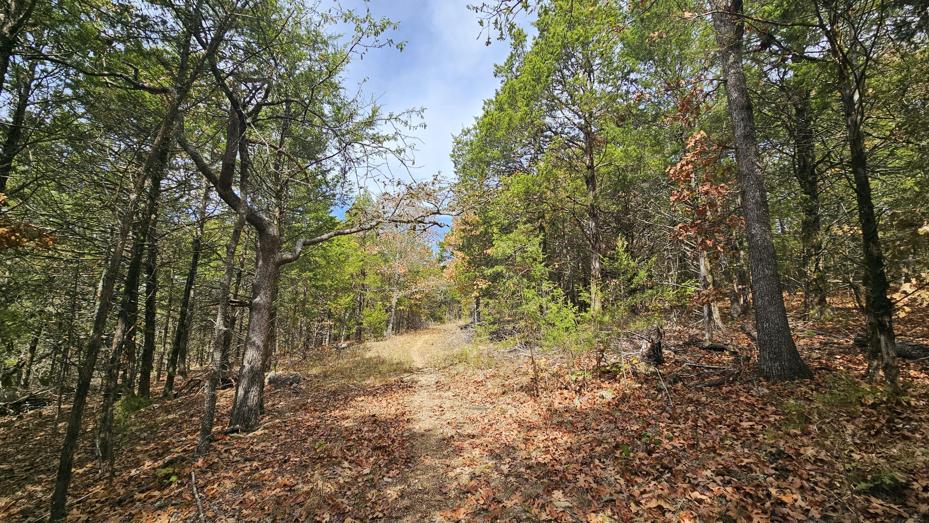30349 County Road V-234 Property Photo 50