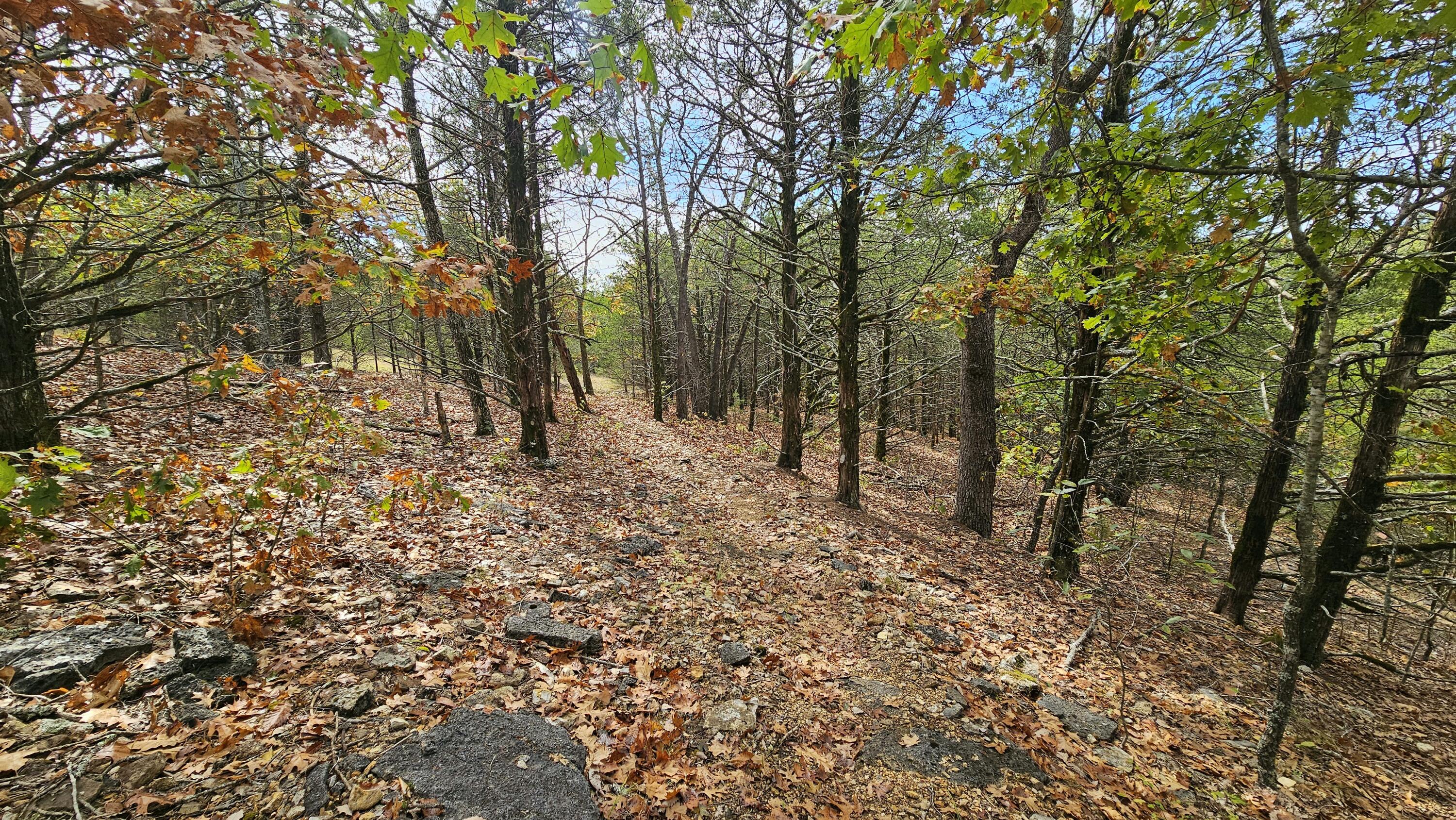30349 County Road V-234 Property Photo 52