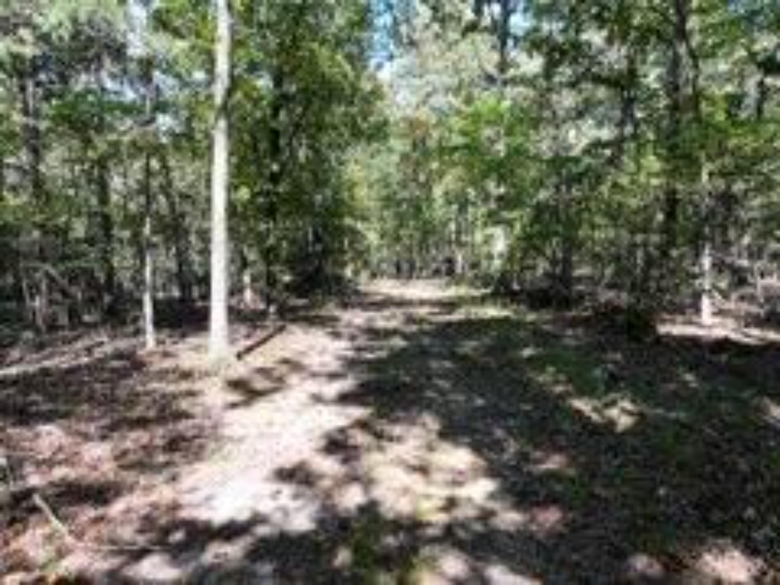 2904 Moark Road Lot 7 Property Photo 6
