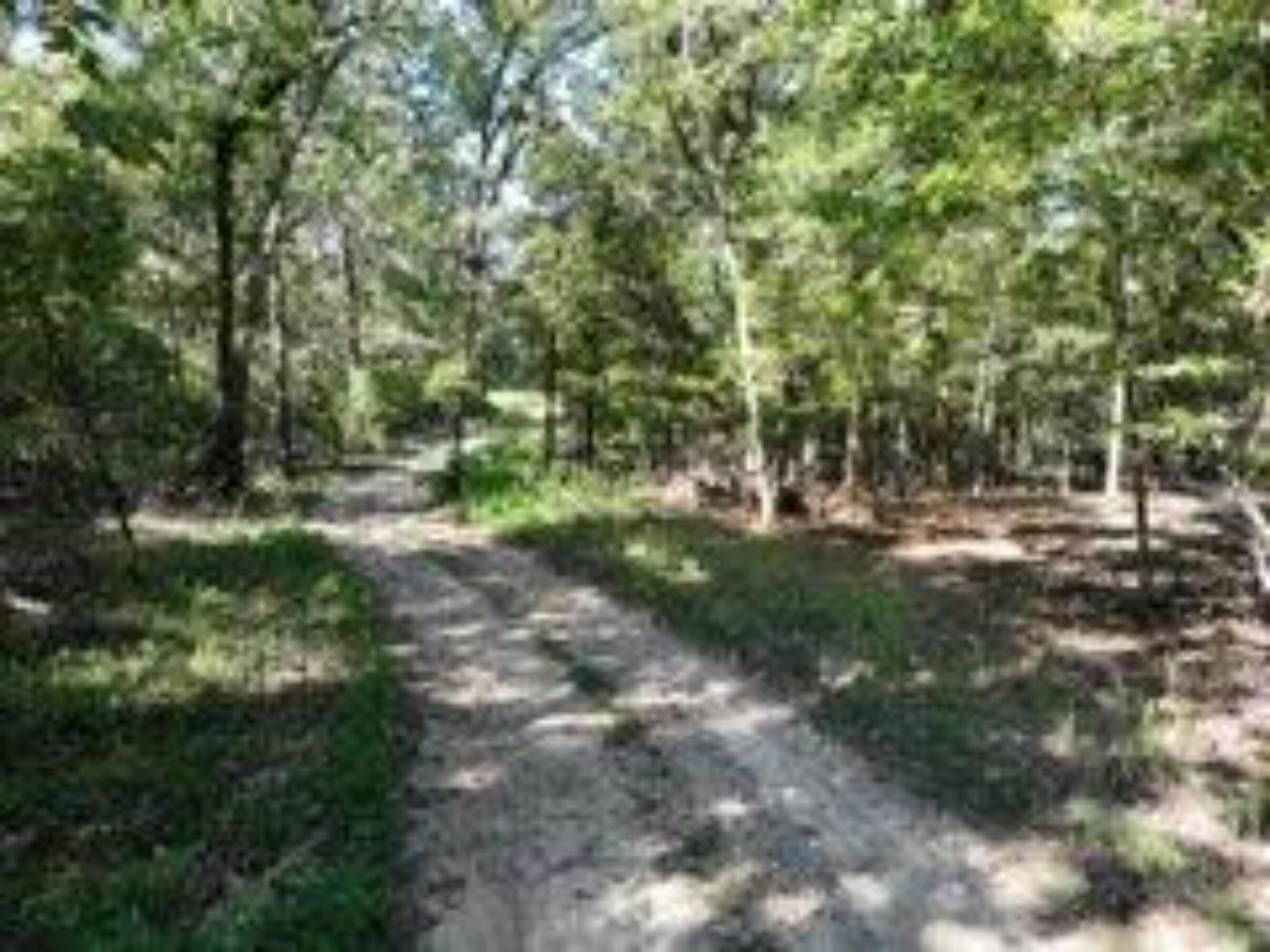 2904 Moark Road Lot 7 Property Photo 7