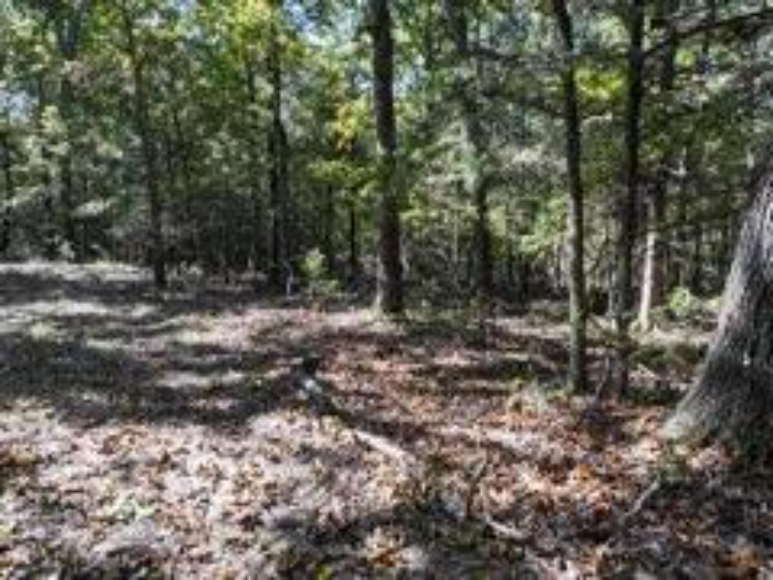2904 Moark Road Lot 7 Property Photo 10
