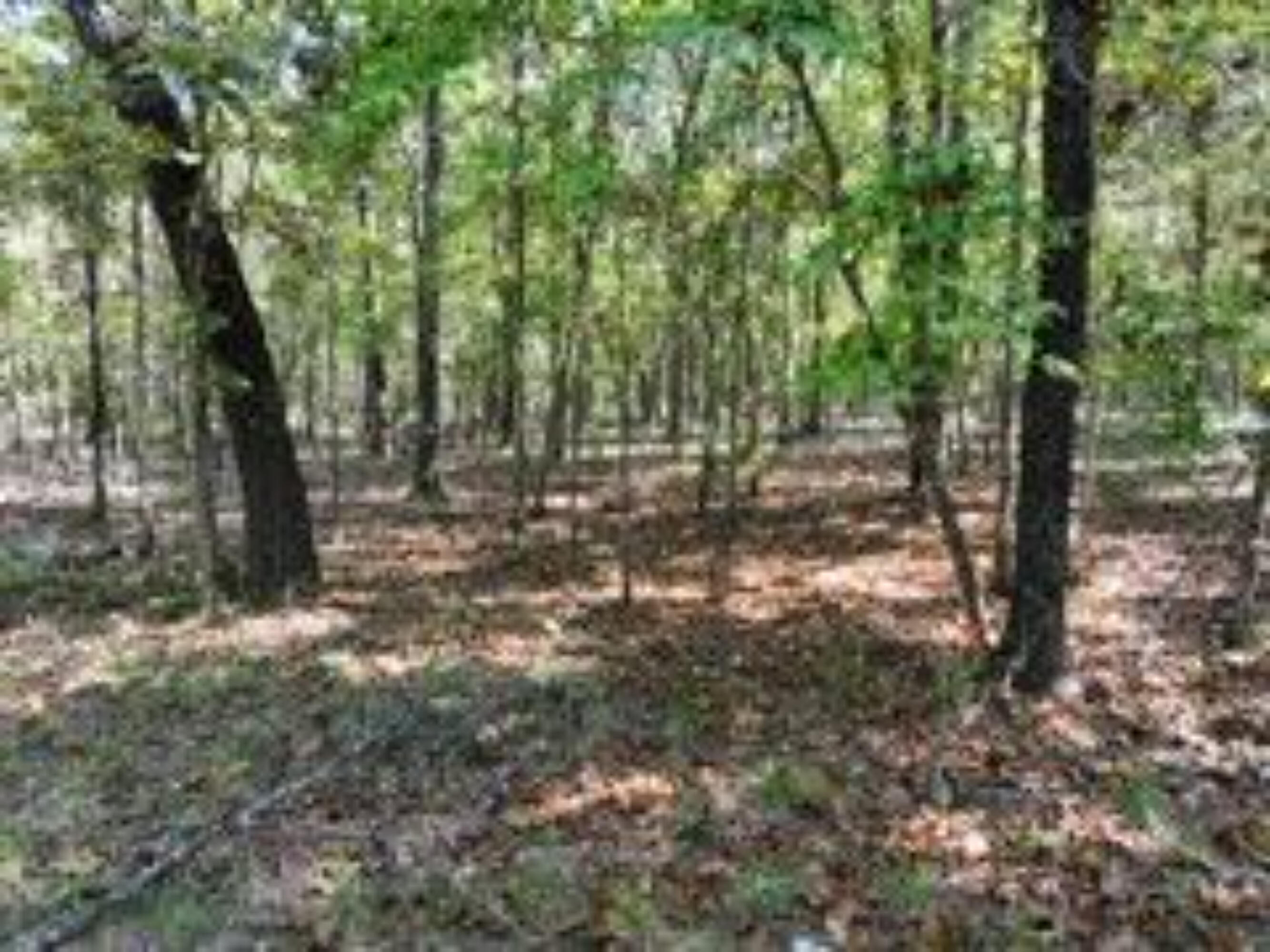 2904 Moark Road Lot 7 Property Photo 11