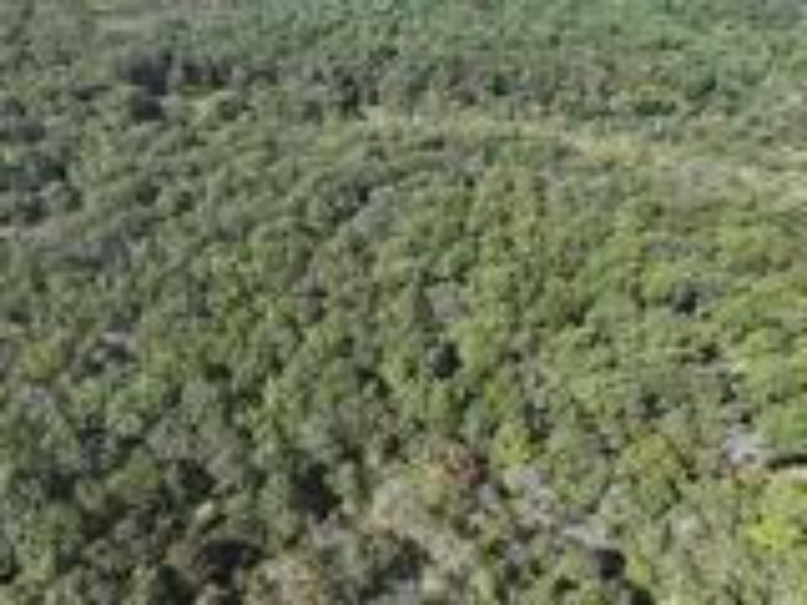 2904 Moark Road Lot 7 Property Photo 14