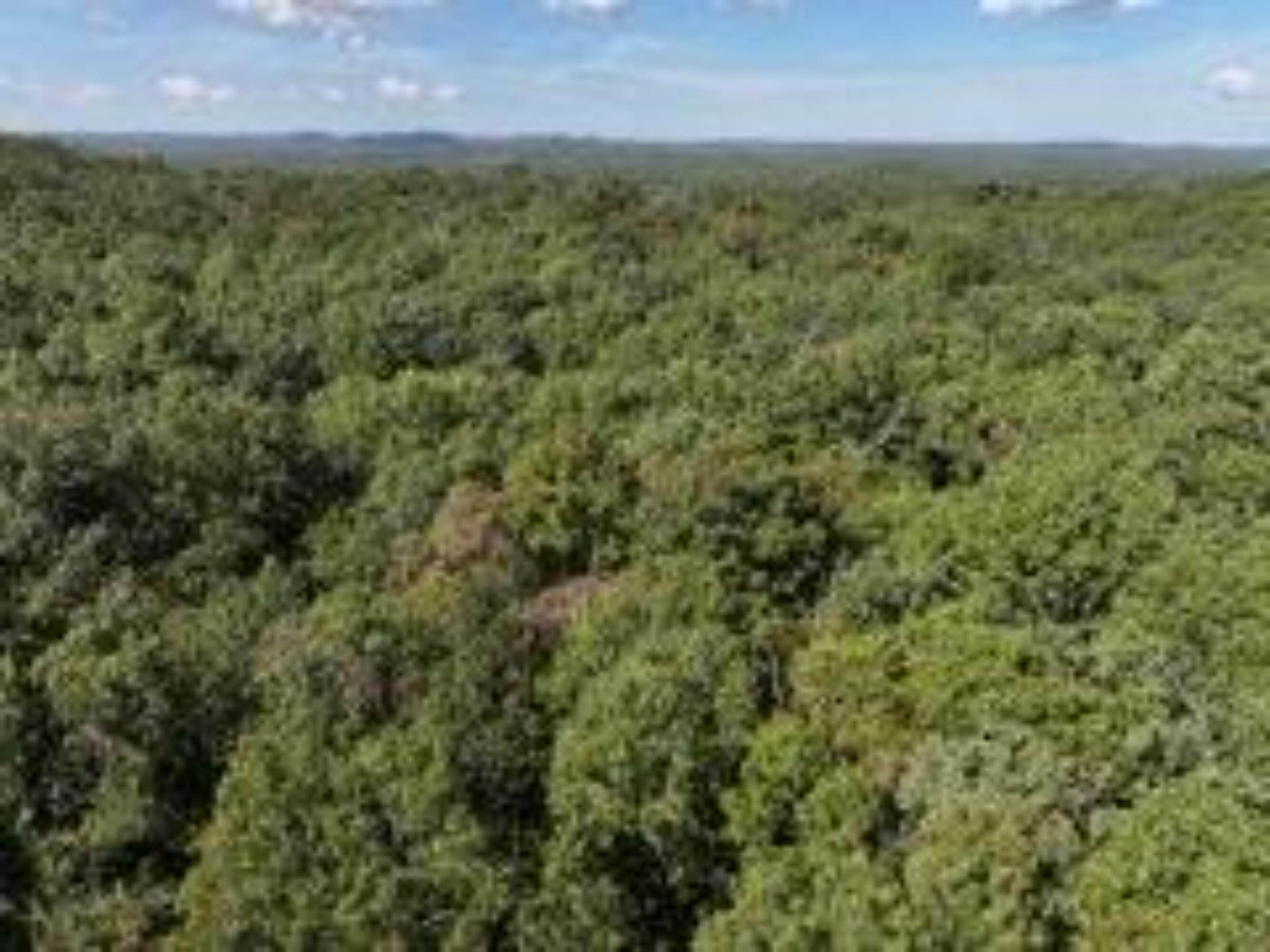 2904 Moark Road Lot 7 Property Photo 21