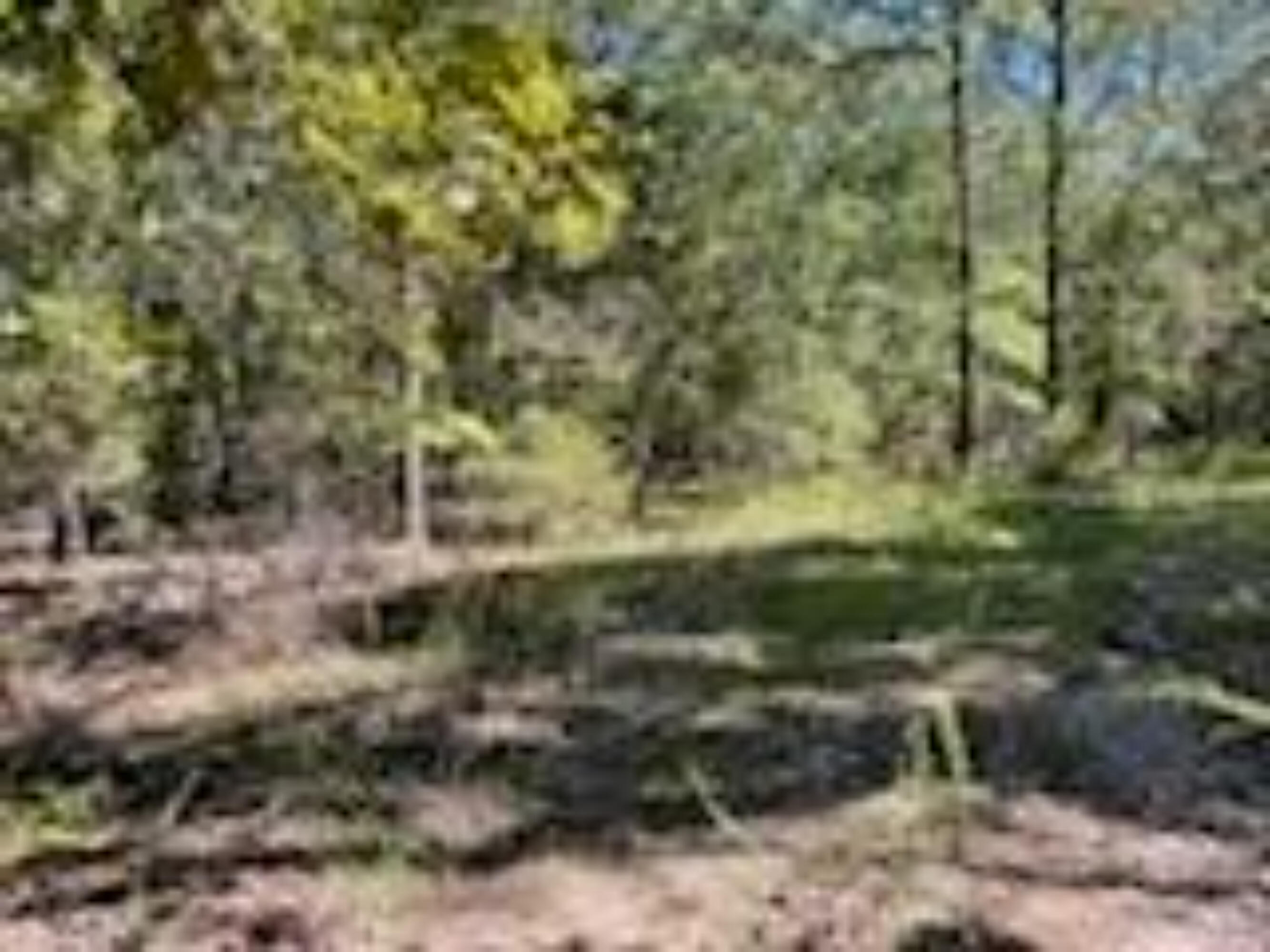 2904 Moark Road Lot 7 Property Photo 34