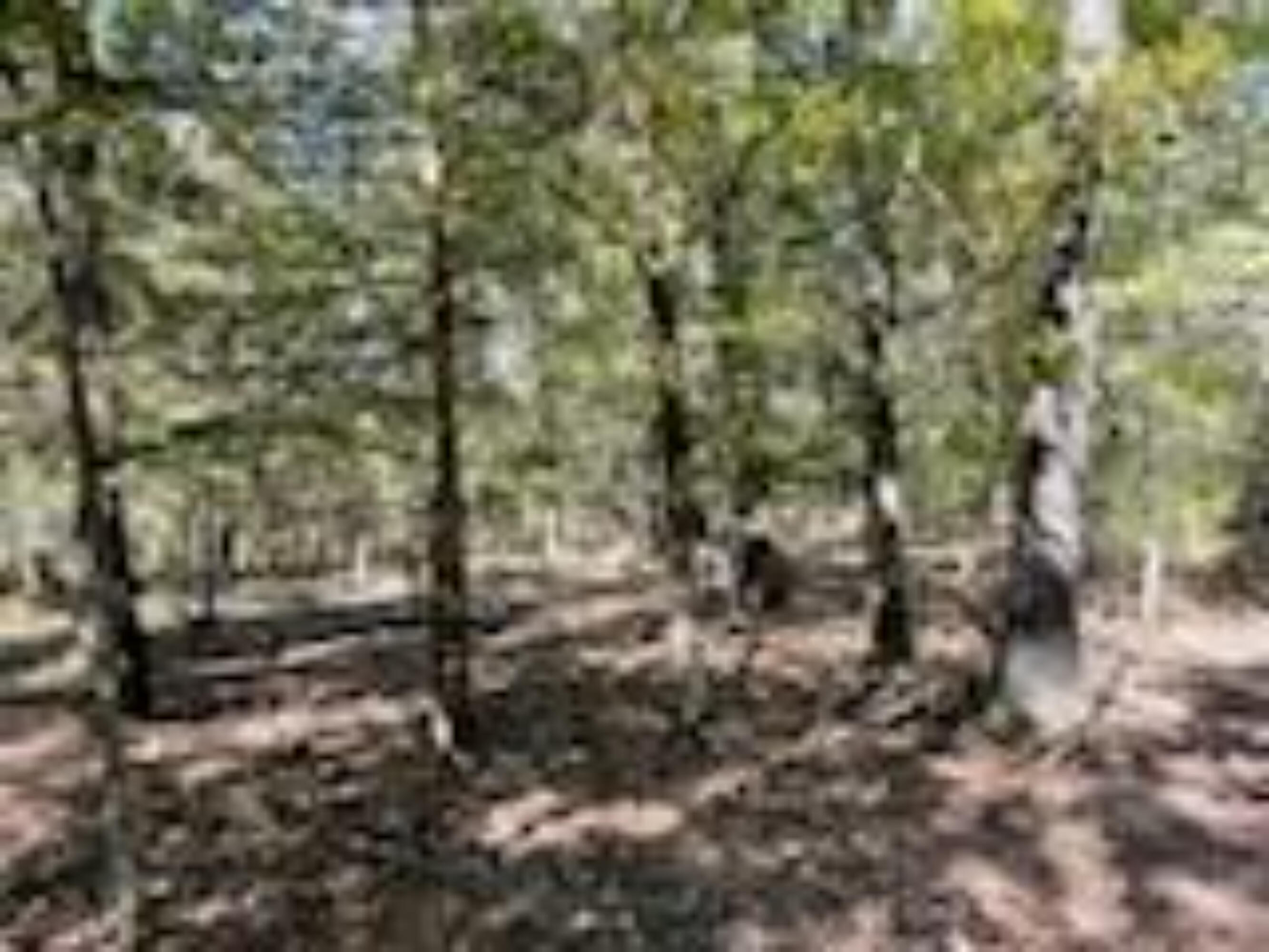 2904 Moark Road Lot 7 Property Photo 37