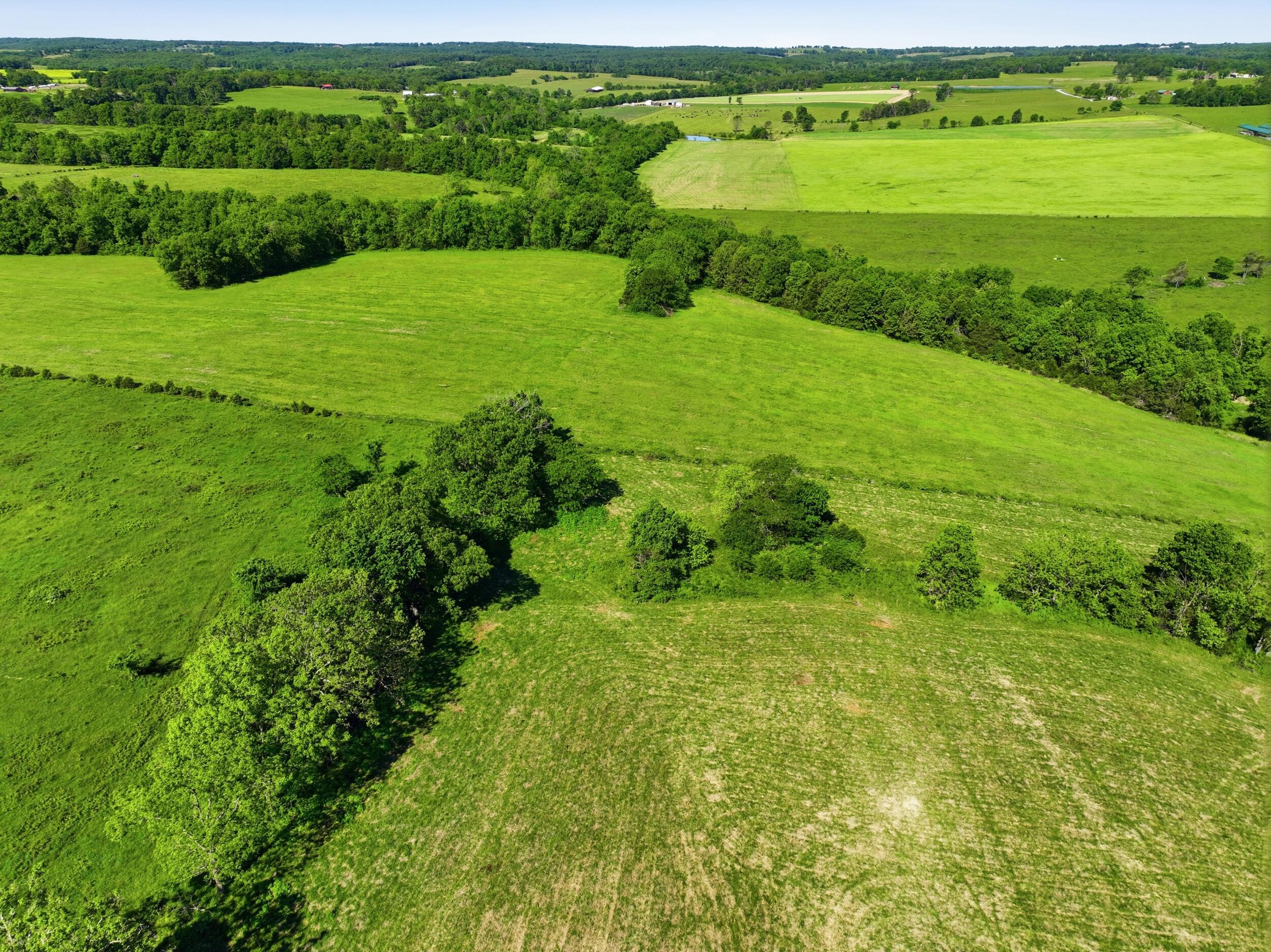 9290 Burton Branch Road Property Photo 21